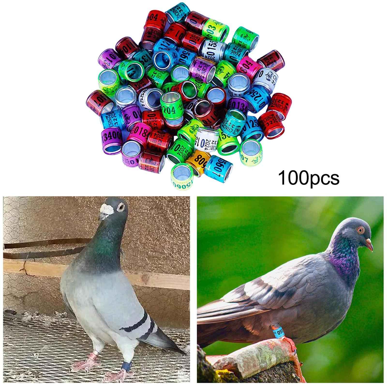100x Dove Foot Bands Durable Bird Pigeon Leg Rings for Lovebird Duck Poultry Multi Color