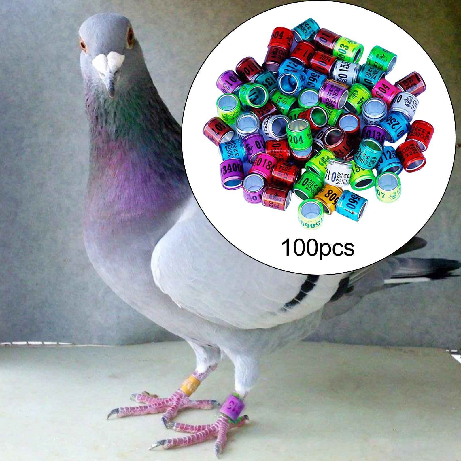 100x Dove Foot Bands Durable Bird Pigeon Leg Rings for Lovebird Duck Poultry Multi Color