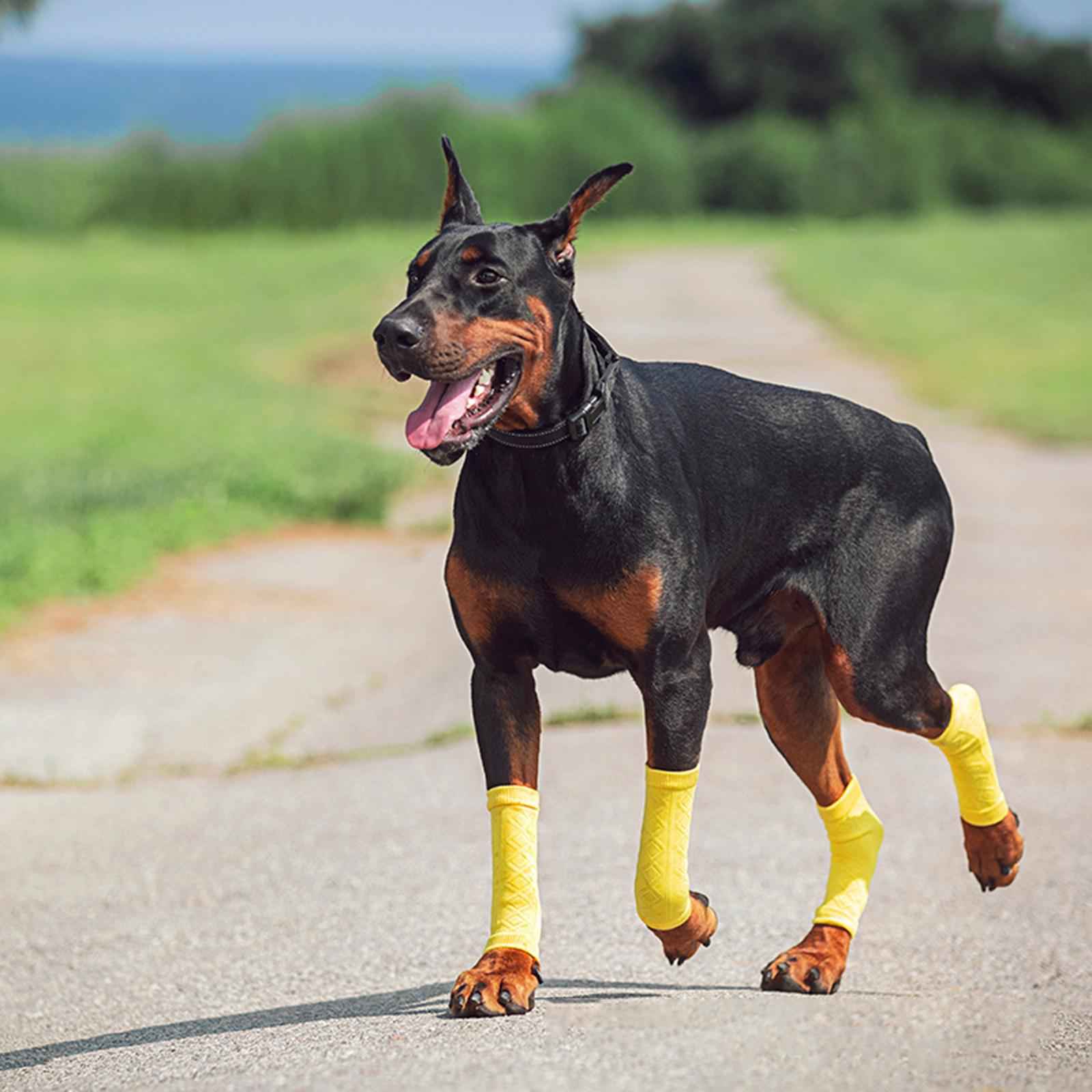 4Pcs Dog Grip Socks Nonslip Cotton Sock Cover for Hardwood Floor Indoor M
