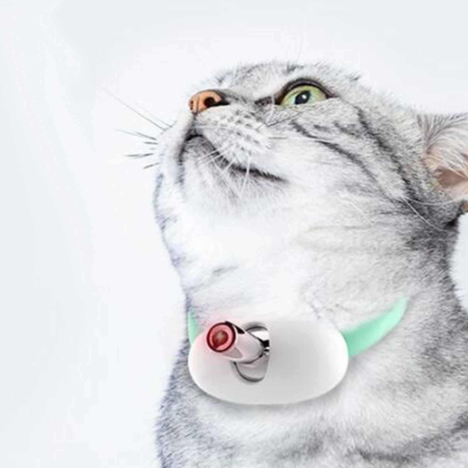 Teaser Cat Collar Pet Exercise Toys for Small, Medium and Large Cats Working