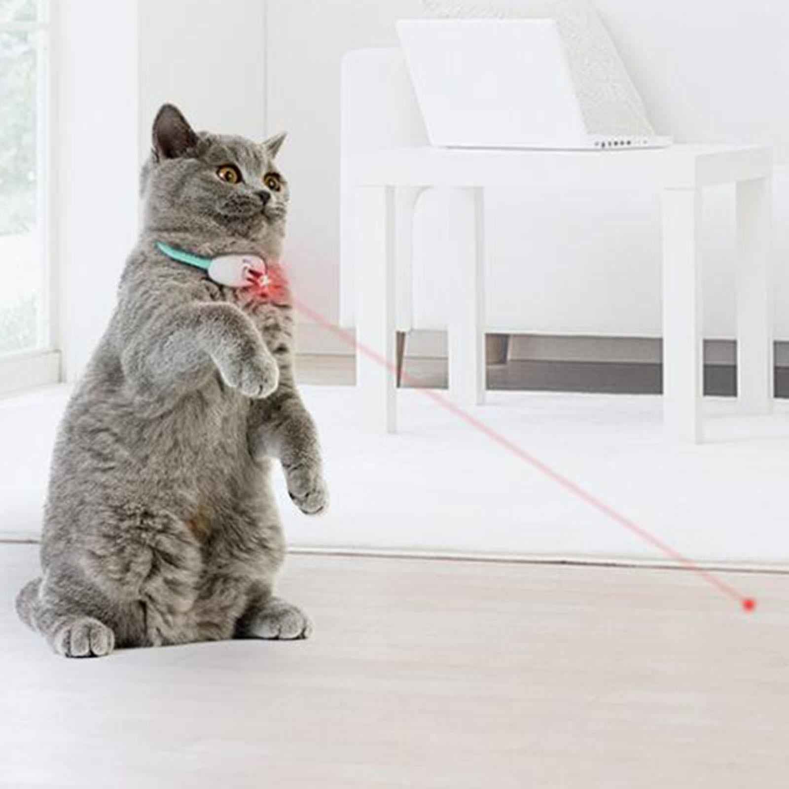 Teaser Cat Collar Pet Exercise Toys for Small, Medium and Large Cats Working