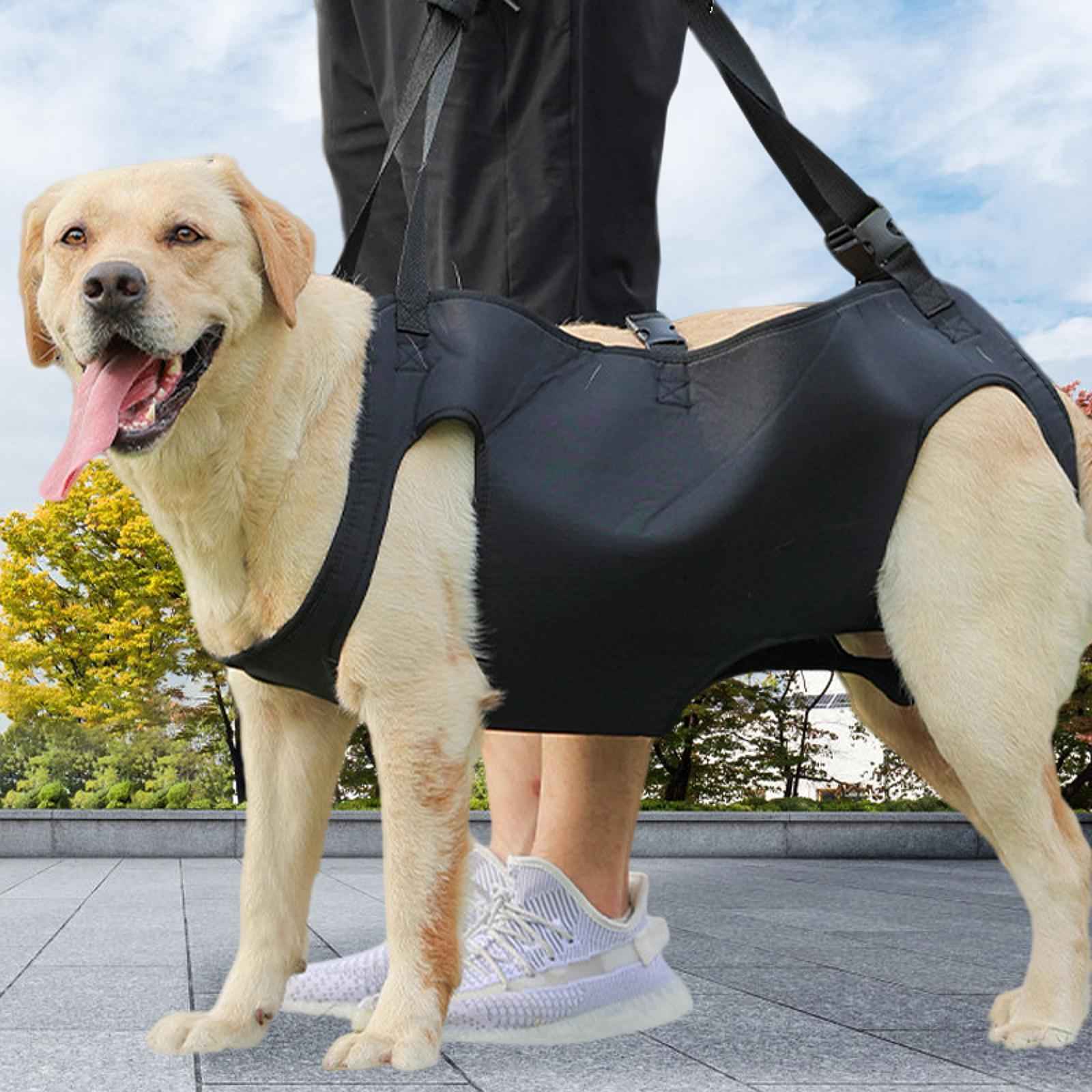 Pet Dog Lift Harness Outdoor Lifts Vest Recovery for Dogs Walk Nail Trimming M