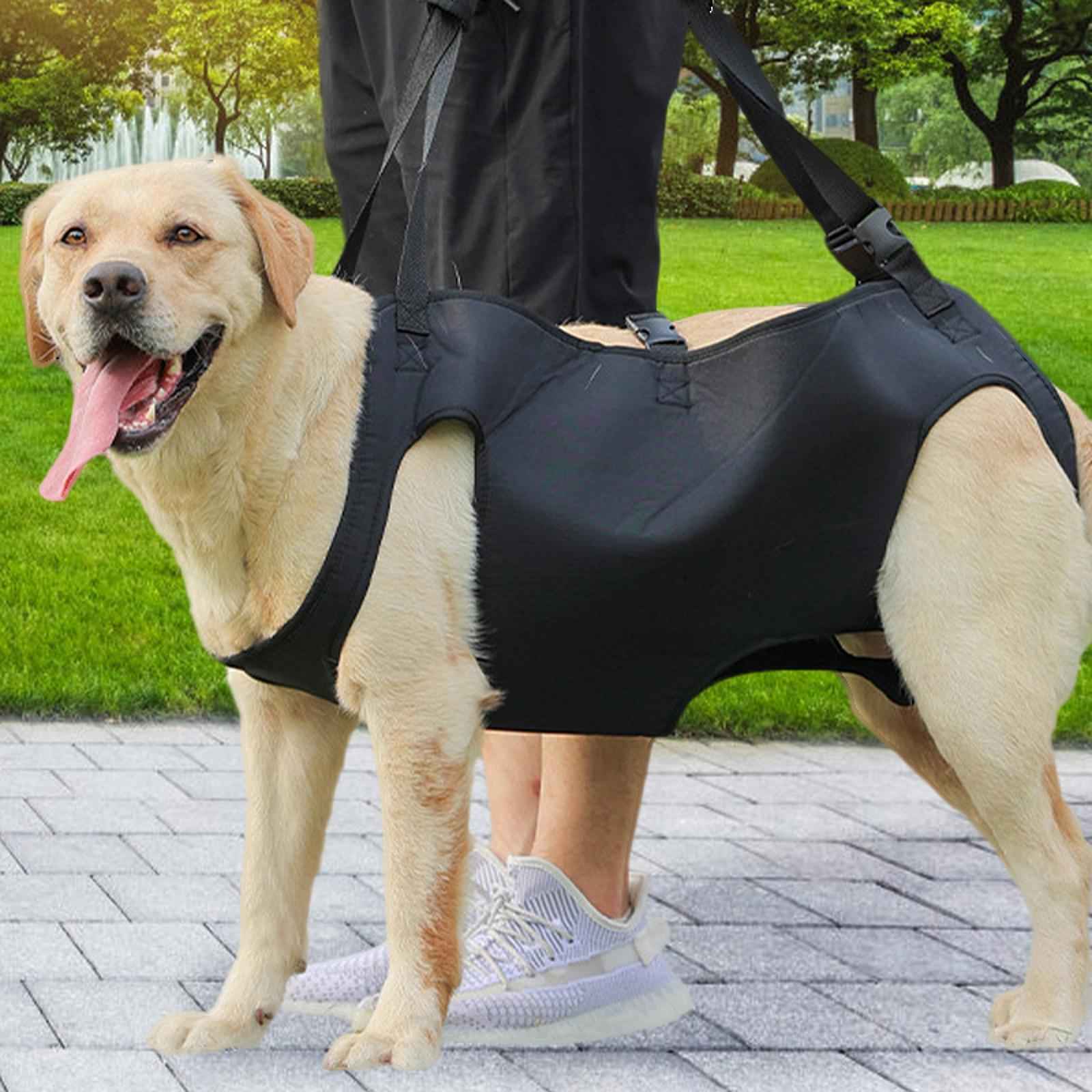 Pet Dog Lift Harness Outdoor Lifts Vest Recovery for Dogs Walk Nail Trimming M