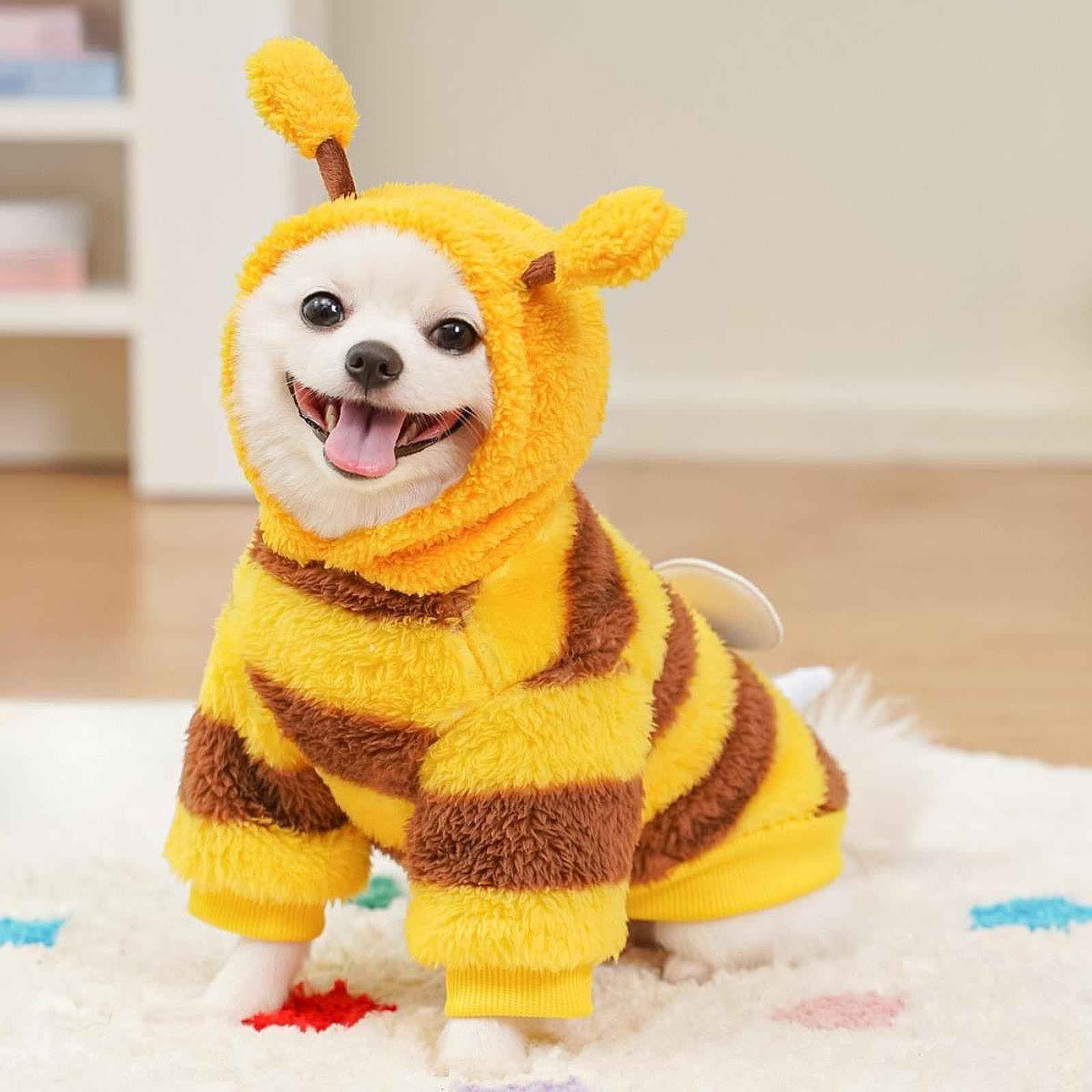Dog Bee Costume Cat Puppy Party Clothing for Holiday Party Stage Performance M