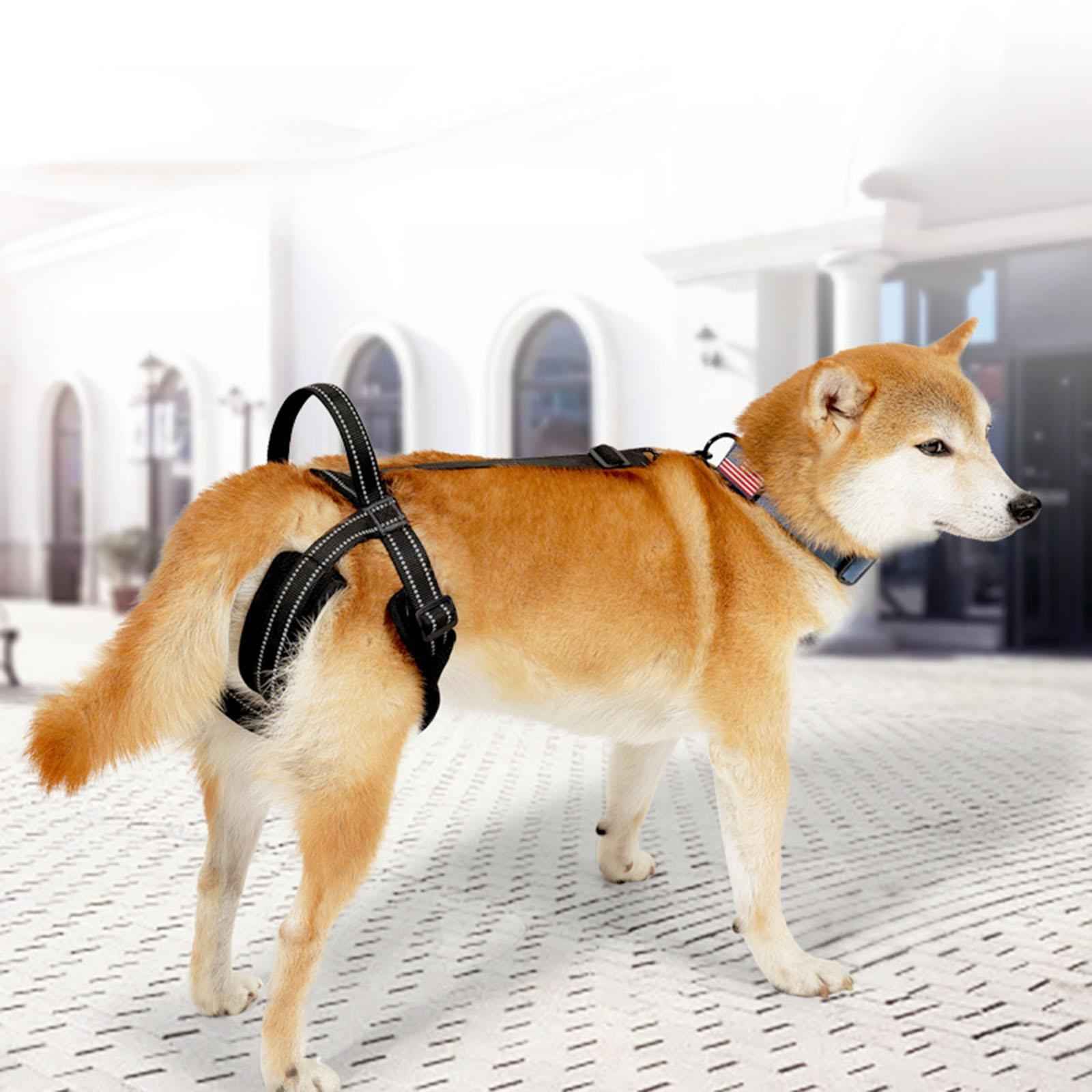 Dog Lift Support Harness Sturdy Hind Leg Support for Disabled Dog Senior Dog L