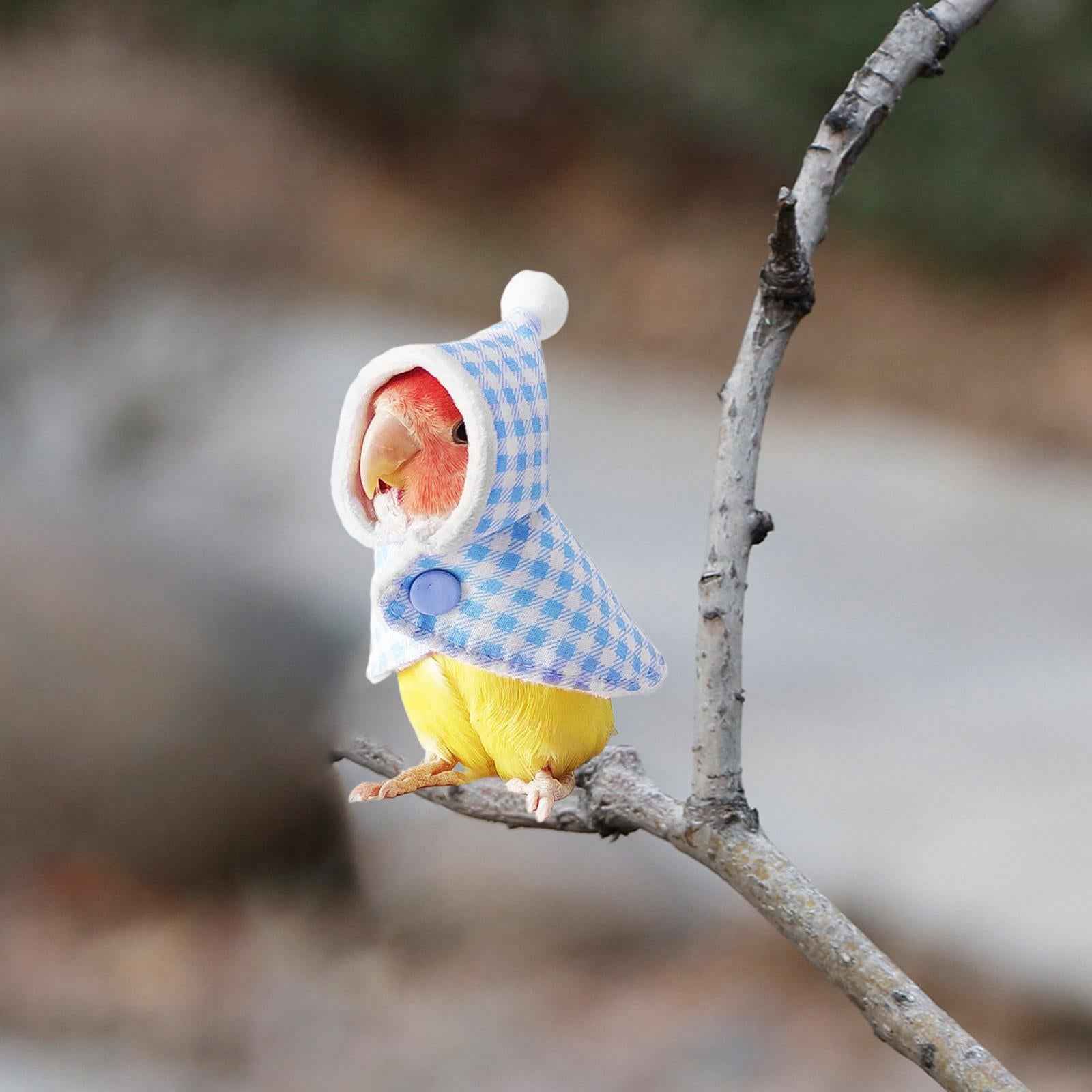 Bird Cape Creative Cute Unique Small Parrot Cloak Cosplay Budgie/budgie Bird blue
