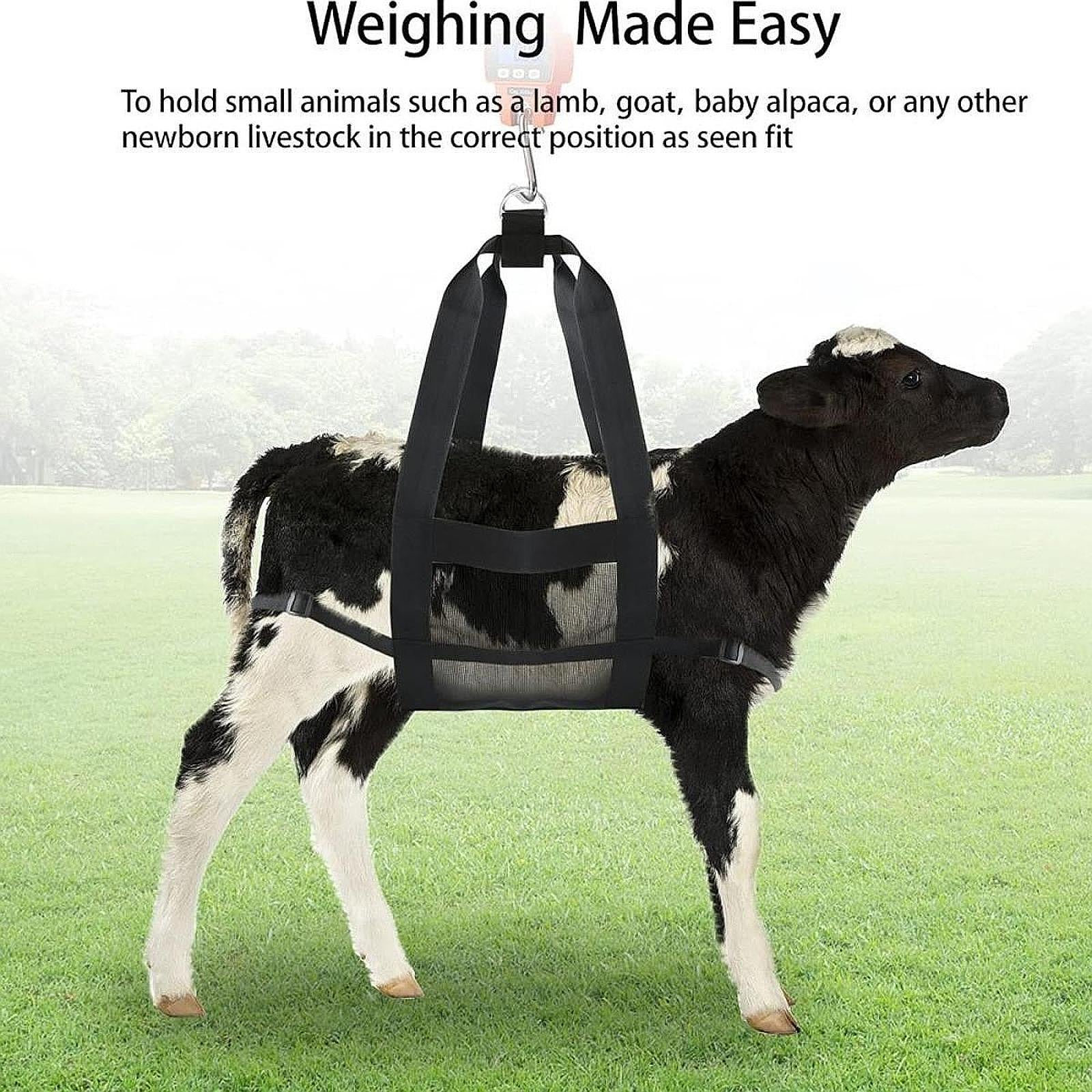 Calf Sling for Weighing Animals Hanging Weight Scale Sling for Livestock Cat