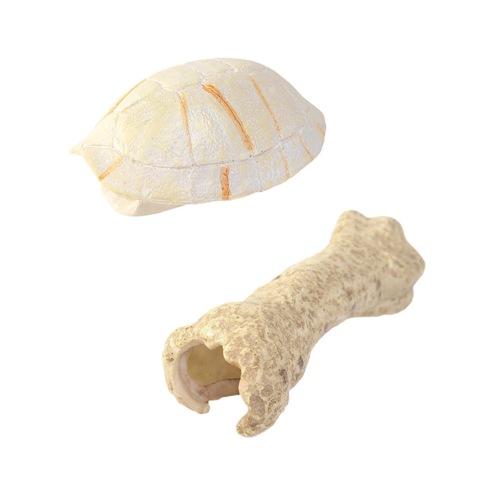 Aquarium Hideout Resin Sculpture Reptile House for Salamanders Cichlid Snake Turtle Shape
