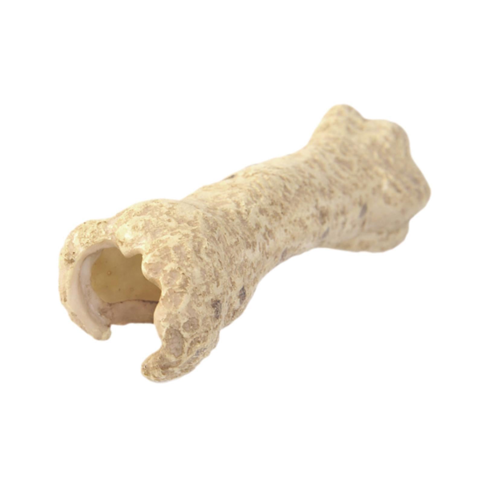 Aquarium Hideout Resin Sculpture Reptile House for Salamanders Cichlid Snake Bone Shape