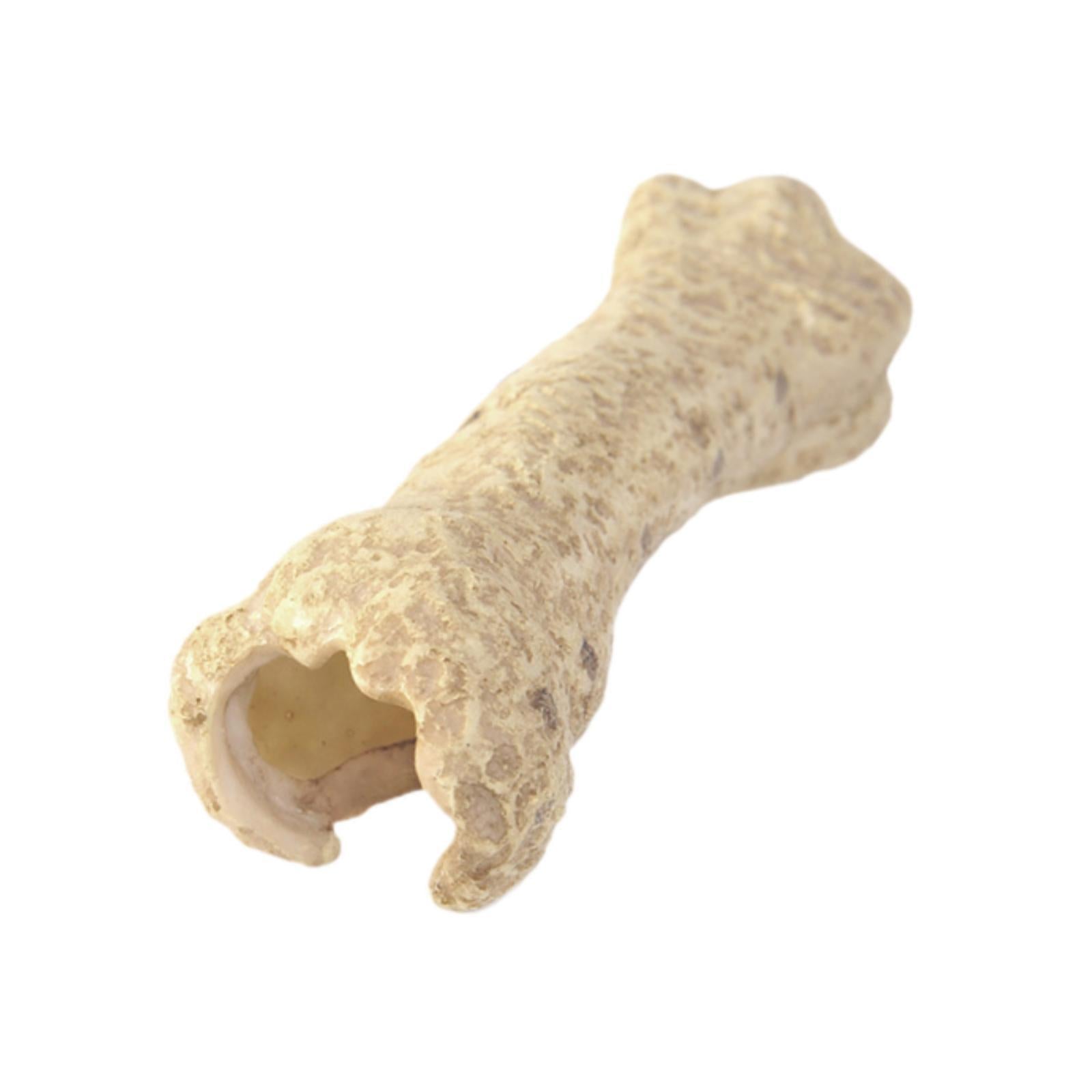 Aquarium Hideout Resin Sculpture Reptile House for Salamanders Cichlid Snake Bone Shape