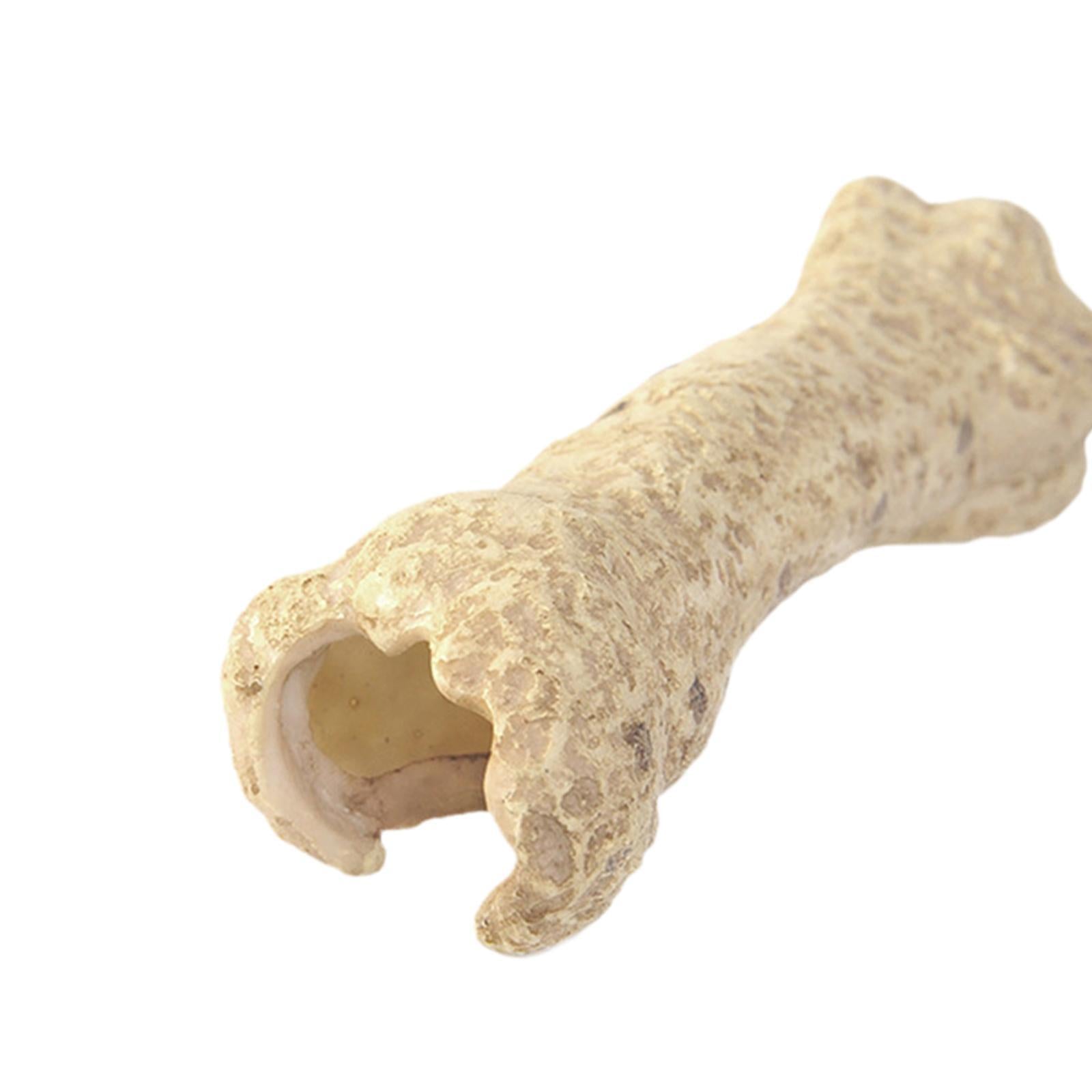 Aquarium Hideout Resin Sculpture Reptile House for Salamanders Cichlid Snake Bone Shape