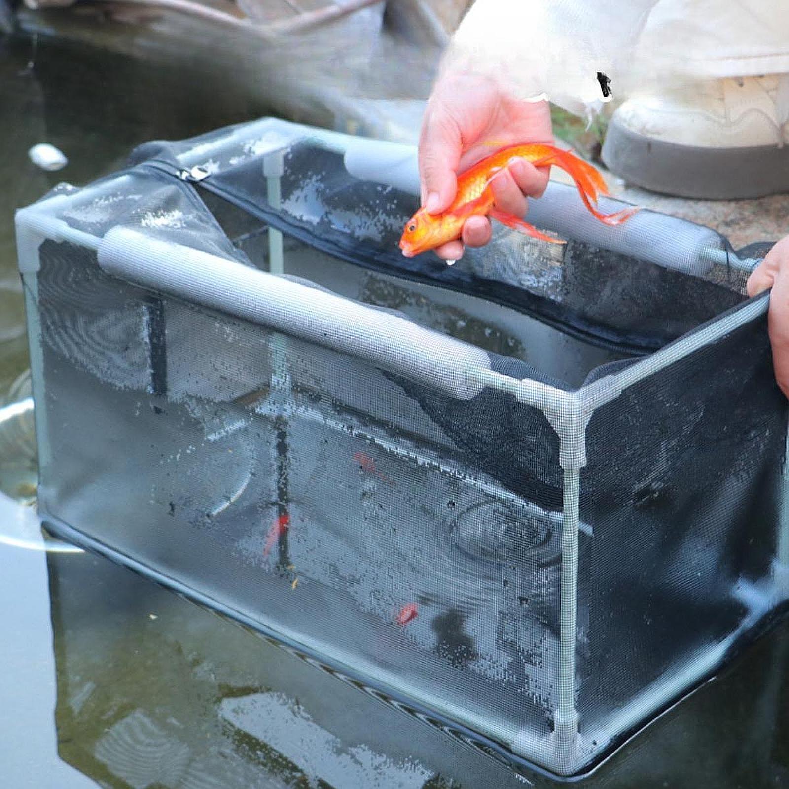 Aquarium Separation Net Breeding Box for Fish Spawn Hatchery 42x22x22cm