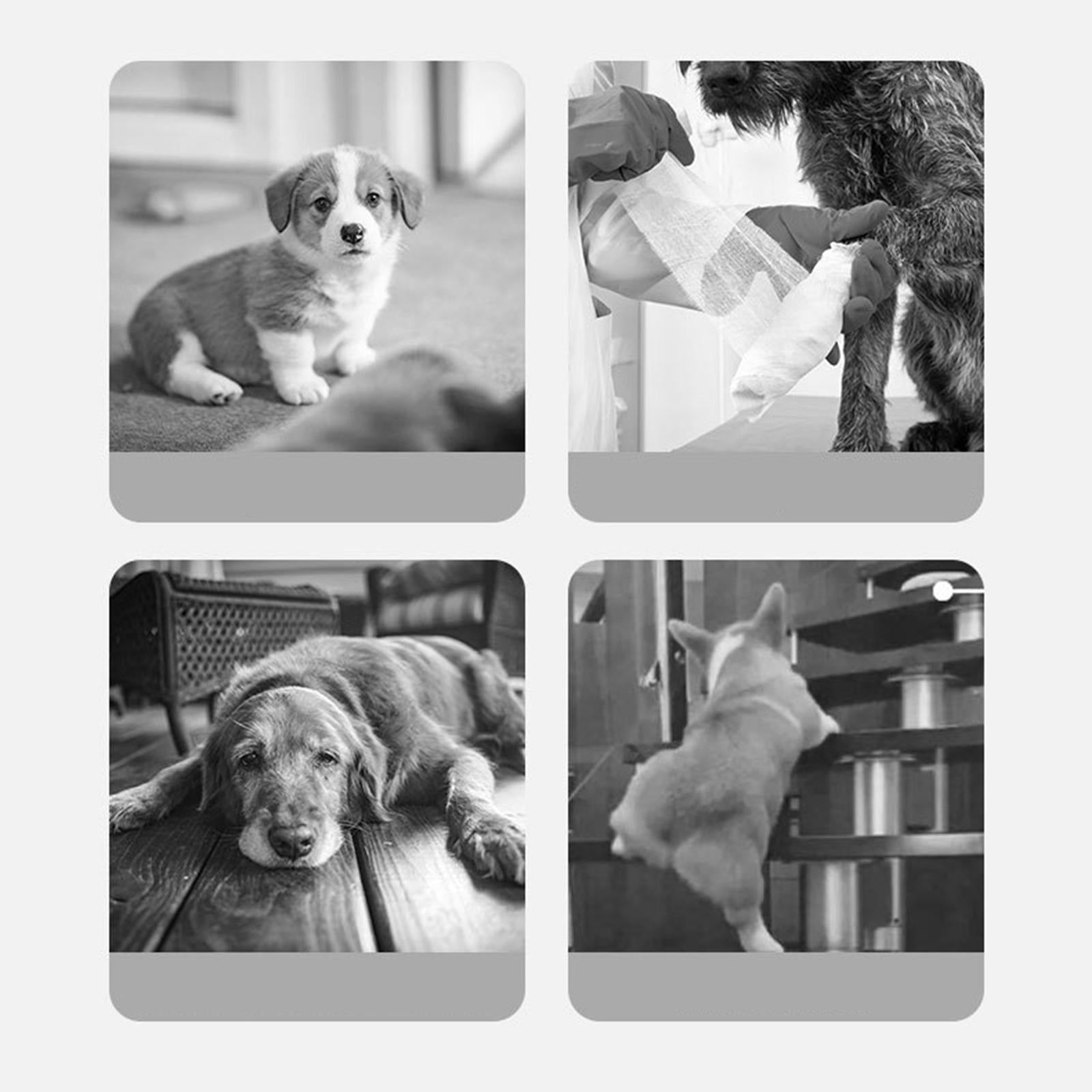 Dog Stairs 3 Step Soft Lightweight Dog Ramp for Small Pets Sofa Dogs Injured Green