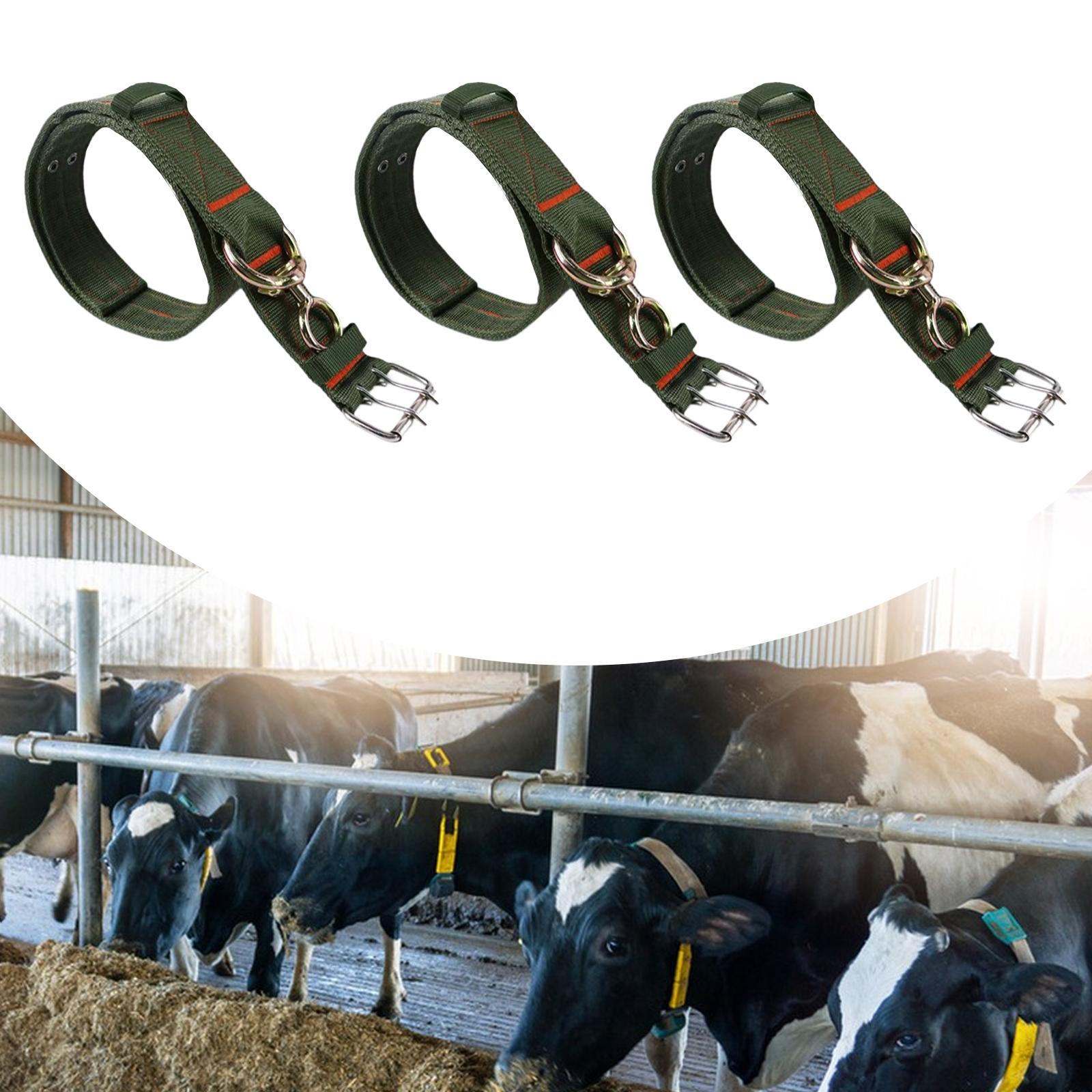 Cow Collar Portable Thick Adjustable Cattle Collar for Livestock Cattle 100cm
