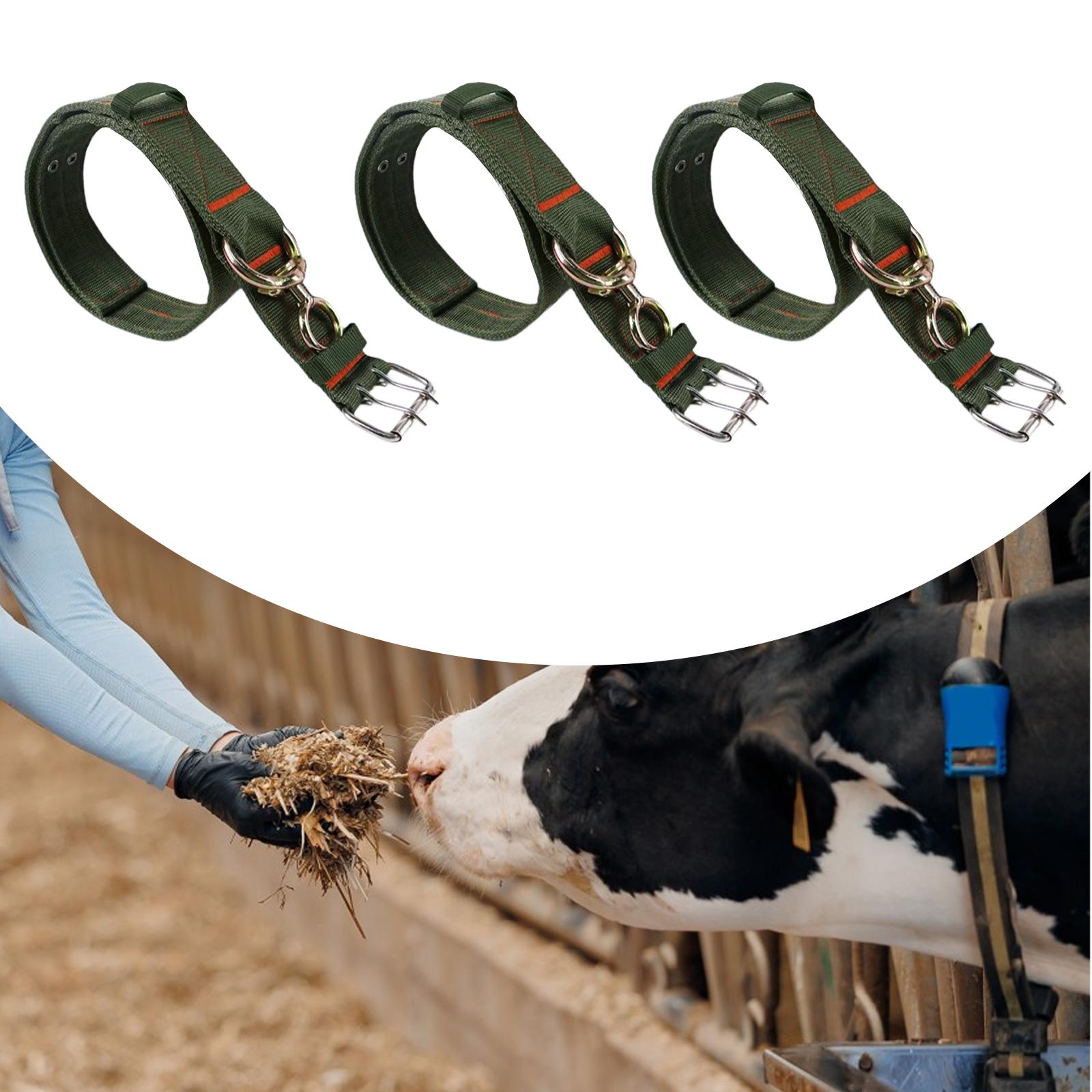 Cow Collar Portable Thick Adjustable Cattle Collar for Livestock Cattle 100cm
