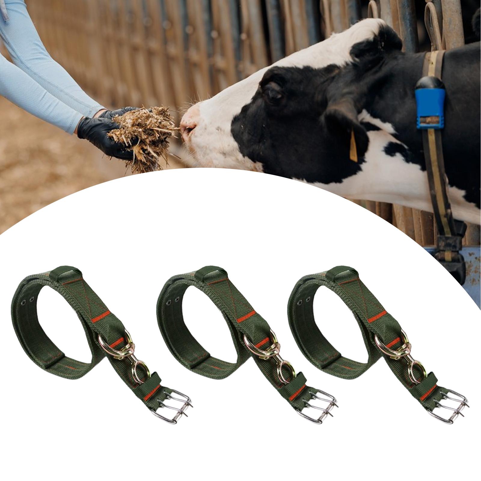 Cow Collar Portable Thick Adjustable Cattle Collar for Livestock Cattle 100cm