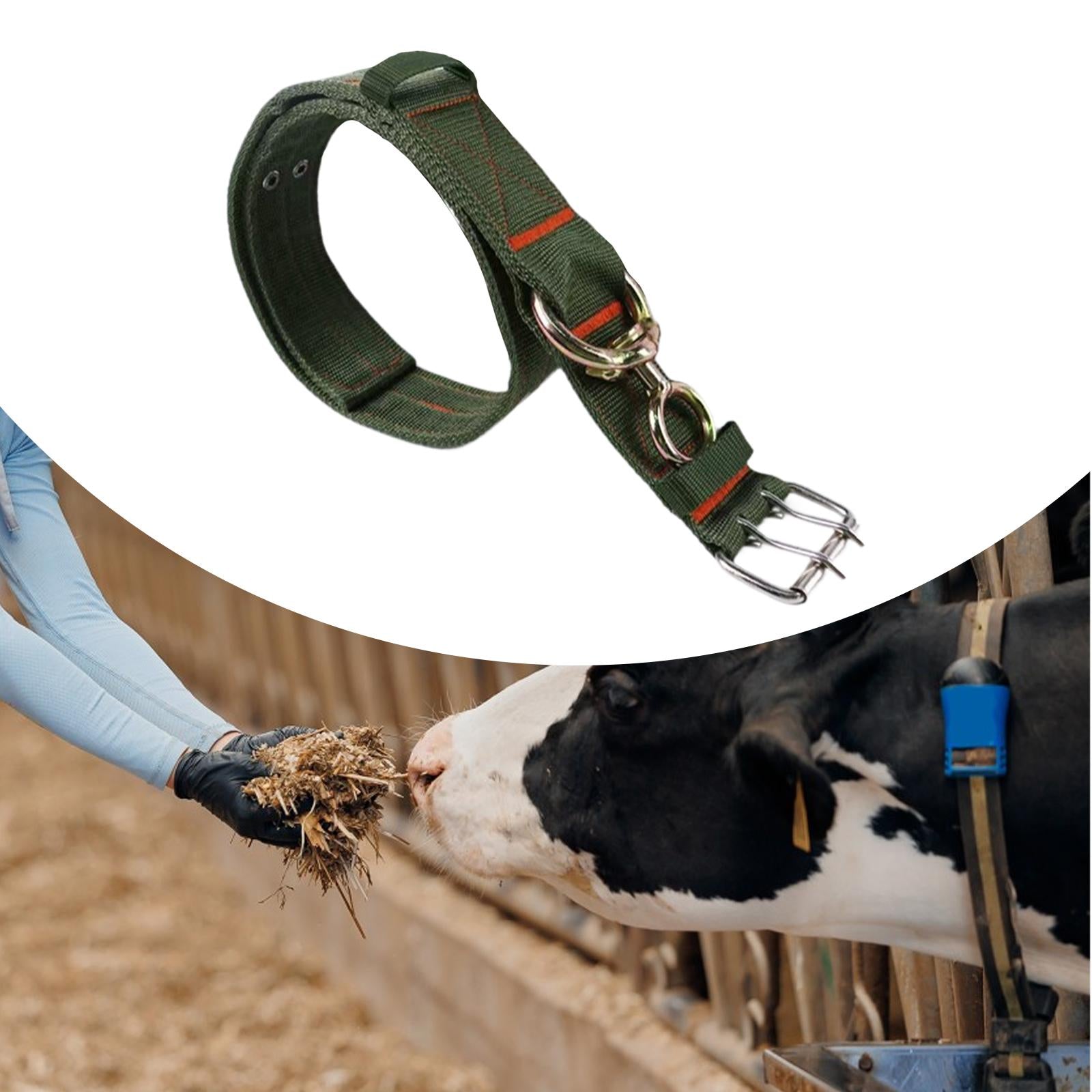 Cow Collar Portable Thick Adjustable Cattle Collar for Livestock Cattle 130cm