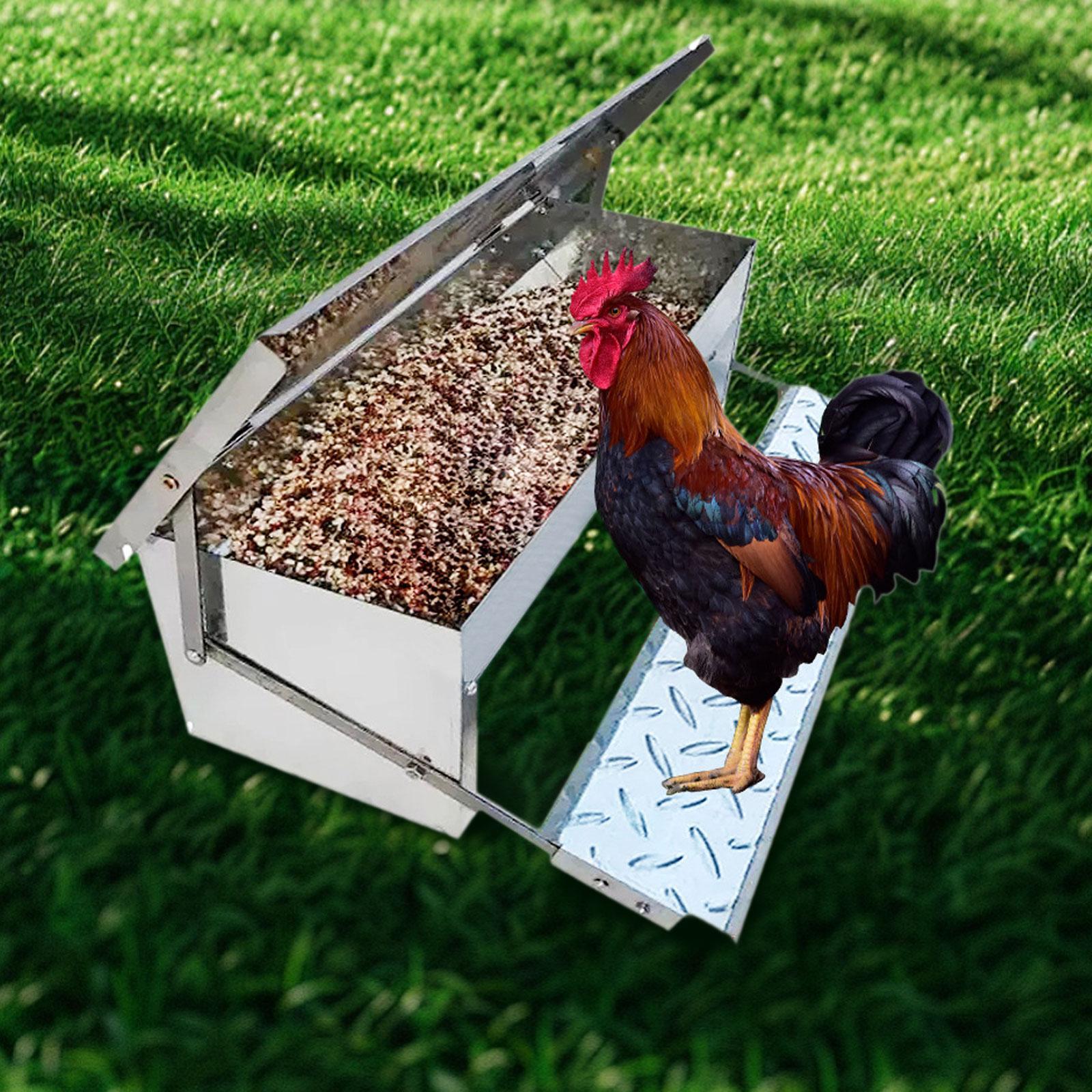 Automatic Chicken Feeder Waterproof Food Dispenser for Farms Turkey Chickens