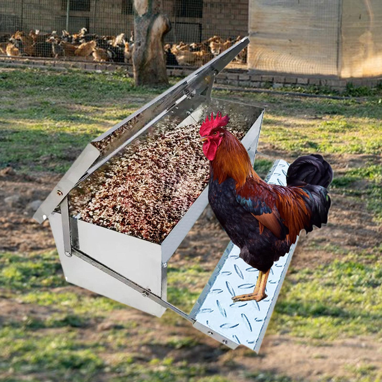 Automatic Chicken Feeder Waterproof Food Dispenser for Farms Turkey Chickens