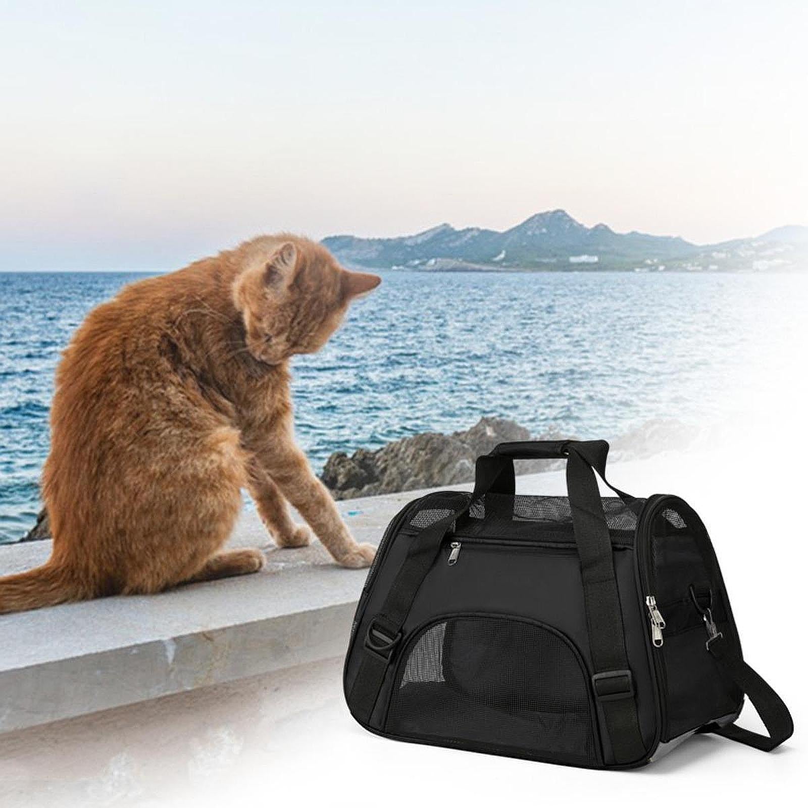 Cat Carrier Breathable Convenient Dog Carrier for Kitties Small Pets S Black