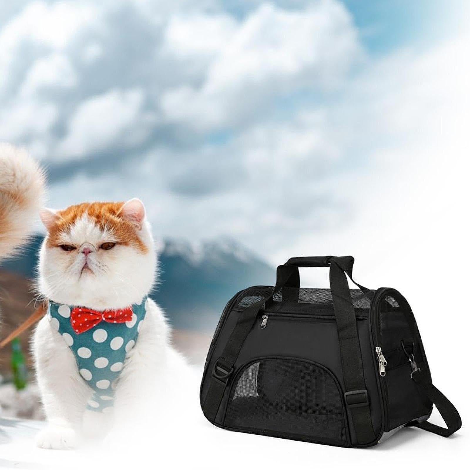 Cat Carrier Breathable Convenient Dog Carrier for Kitties Small Pets L Black