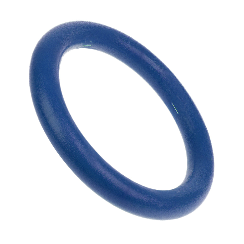 Home Gymnastic Gym Rings Hoop Exercise Fitness Workout Pull Up Bar Blue