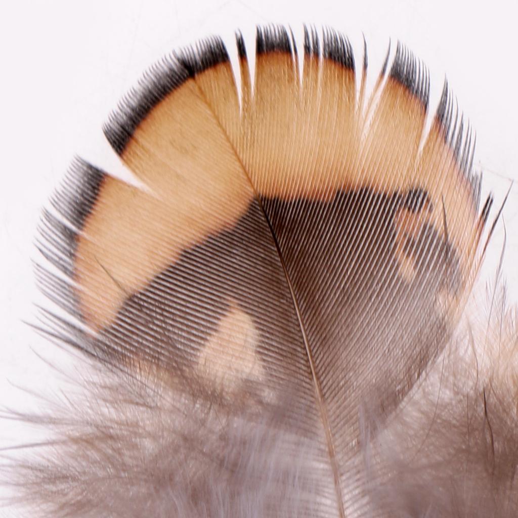 10Pcs Simulation Quills Fly Tying Materials Quills Feathers for Fly Tying