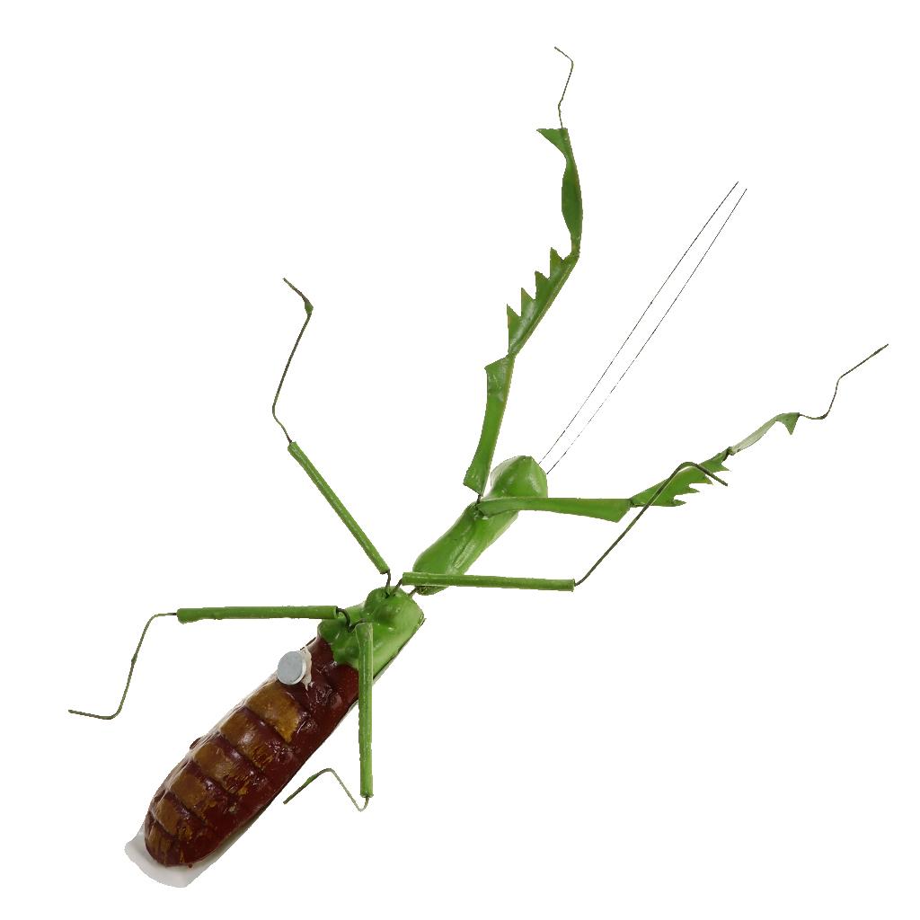5Pcs Simulation Artificial Insect Model Kids Educative Toys Mantis