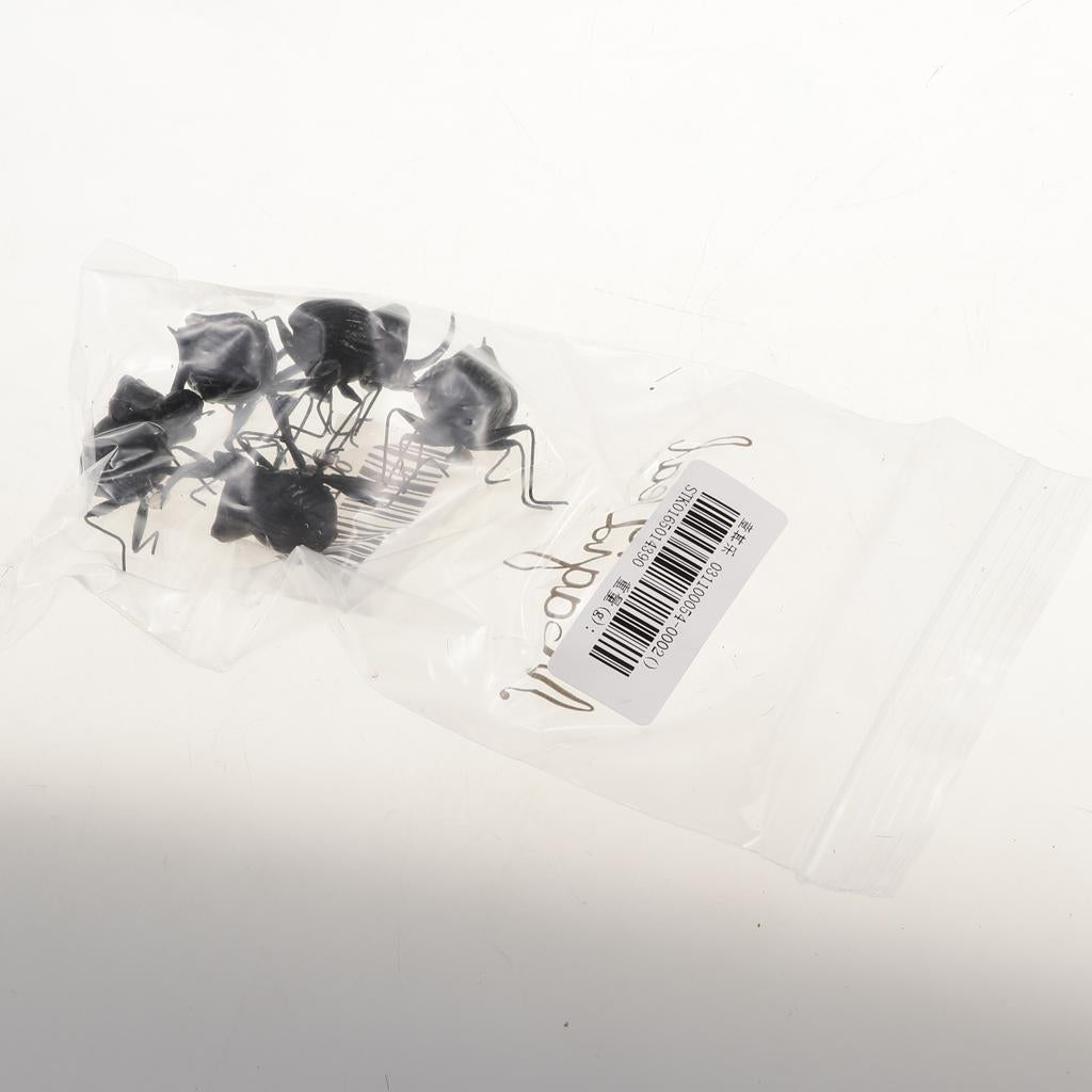 5Pcs Simulation Artificial Insect Model Kids Educative Toys Hercules beetle