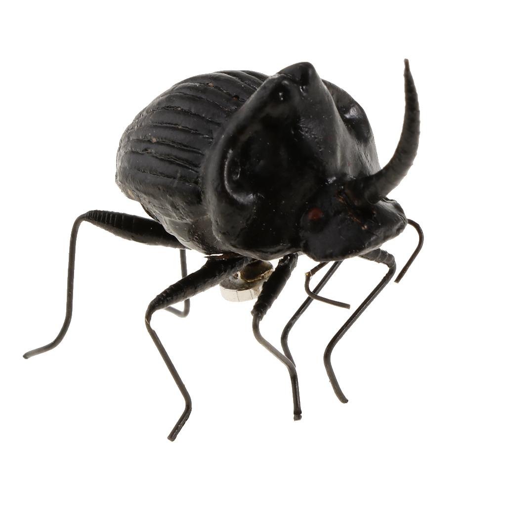 5Pcs Simulation Artificial Insect Model Kids Educative Toys Hercules beetle