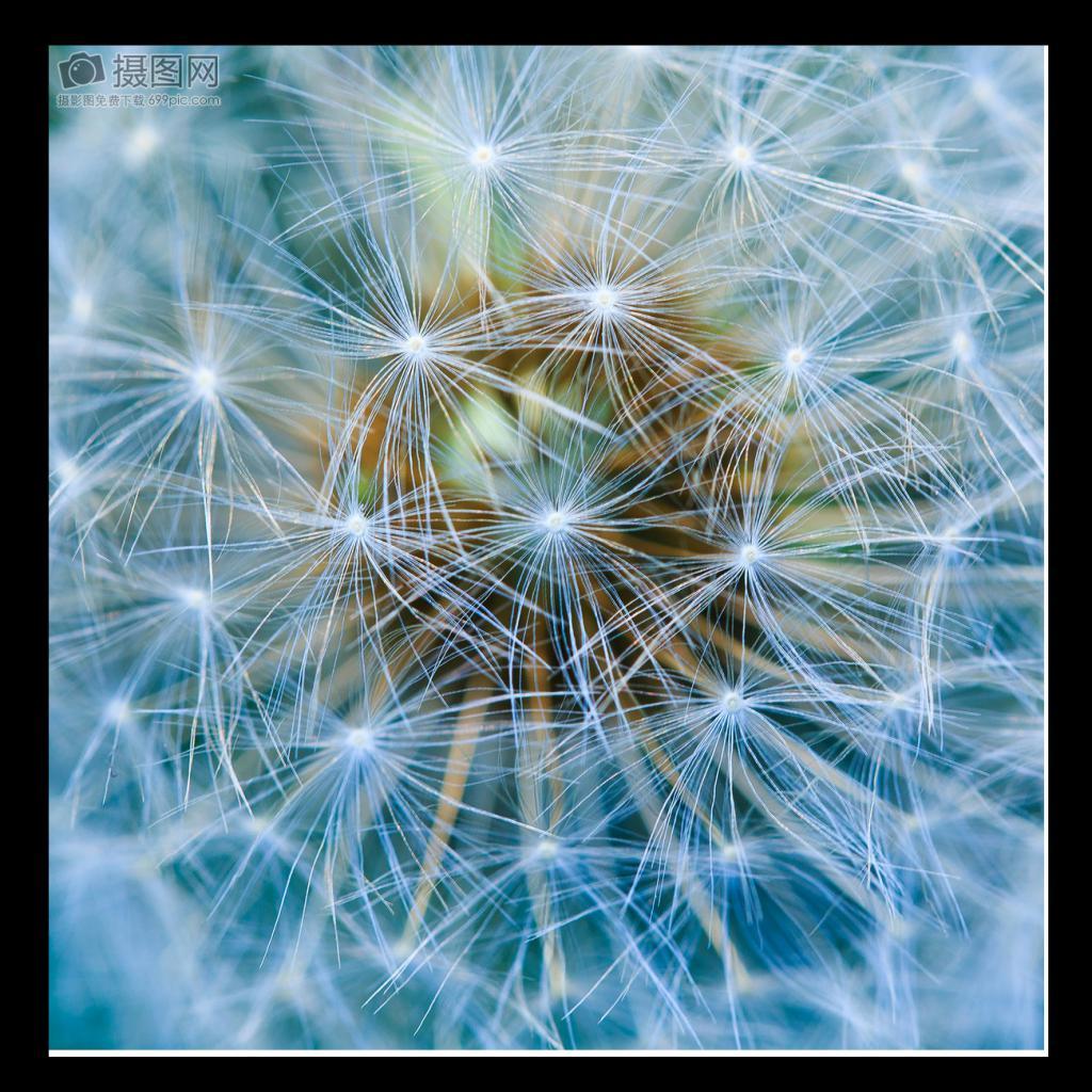 8L Waterproof Bag Sack Pouch for Kayak Fishing Swimming Canoe Rafting