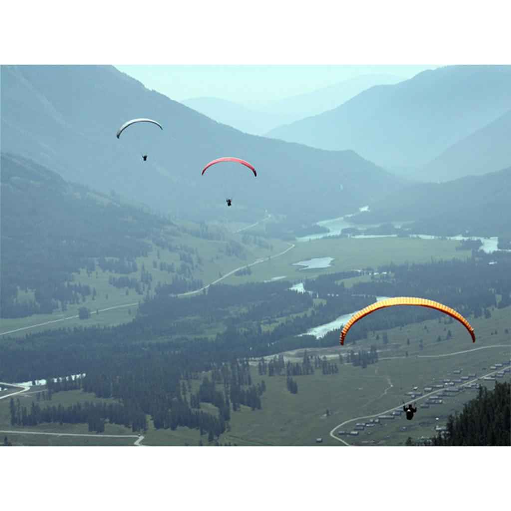 Outdoor 20KN Aluminum Alloy Caribiners for Paraglider Paragliding/Powered Paragliding Camping Buckle Rock Climbing Safety Rescue Gear- Black