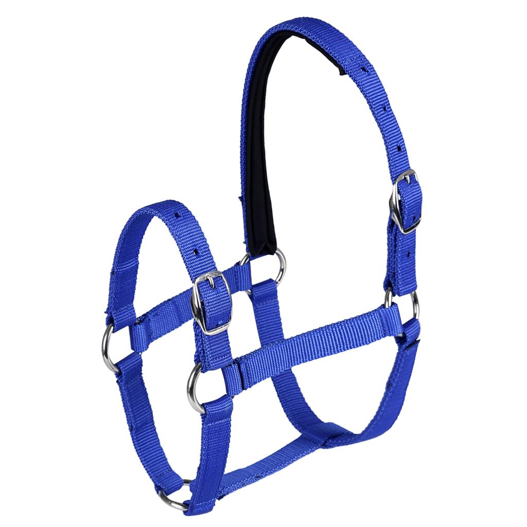 Adjustable Equestrian Western Horse Halter Fits 130 - 165cm Horse blue