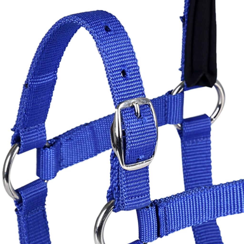 Adjustable Equestrian Western Horse Halter Fits 130 - 165cm Horse blue