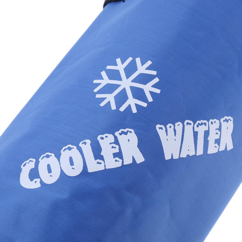 Insulated Cooler Lunch Bag Cooler Camping Ice Box Coolers with Zippered Top