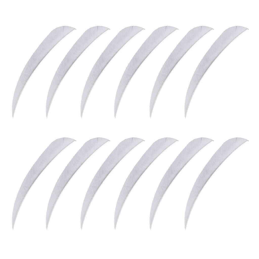 12pcs 3inch Archery Arrow Turkey Feathers Fletchings Vanes White