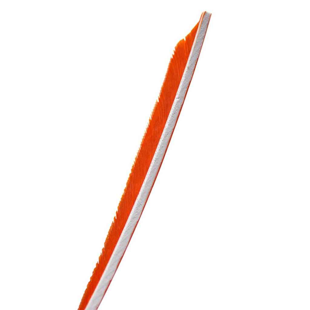 12 Pieces 4 Inch Archery Arrow Feathers Fletchings Vanes Orange