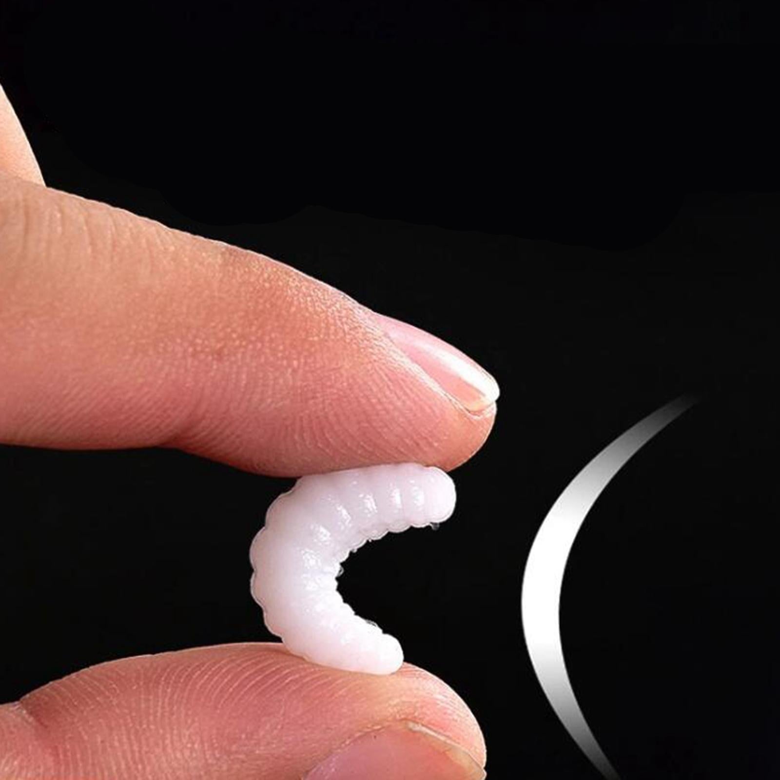 2xFishing Lure Soft Plastic Worm Larva Grub Baits Freshwater Tackle 100PCS