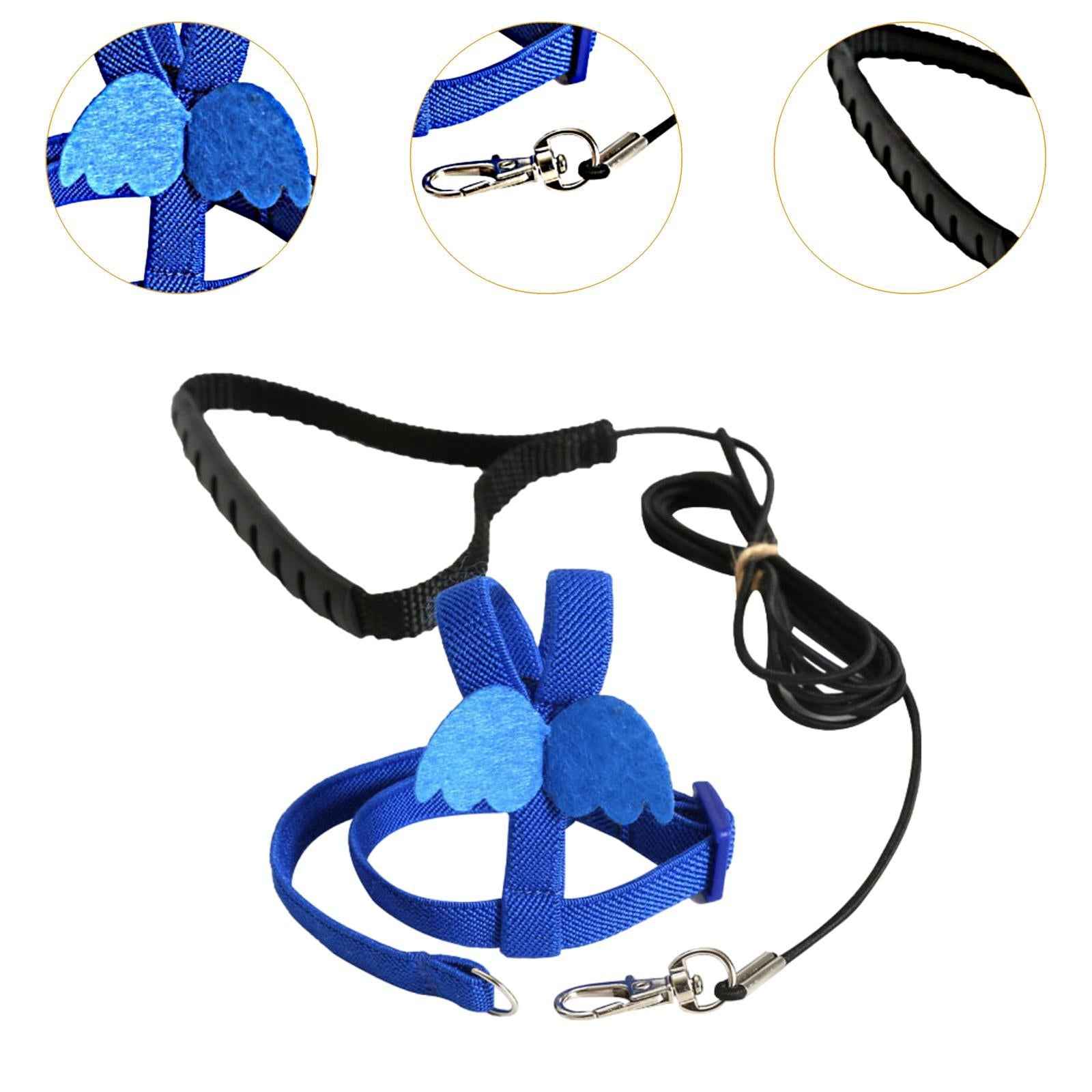 Bird Harness and Leash Training Rope for Conures Budgie Small Parrots Pigeon Blue XS