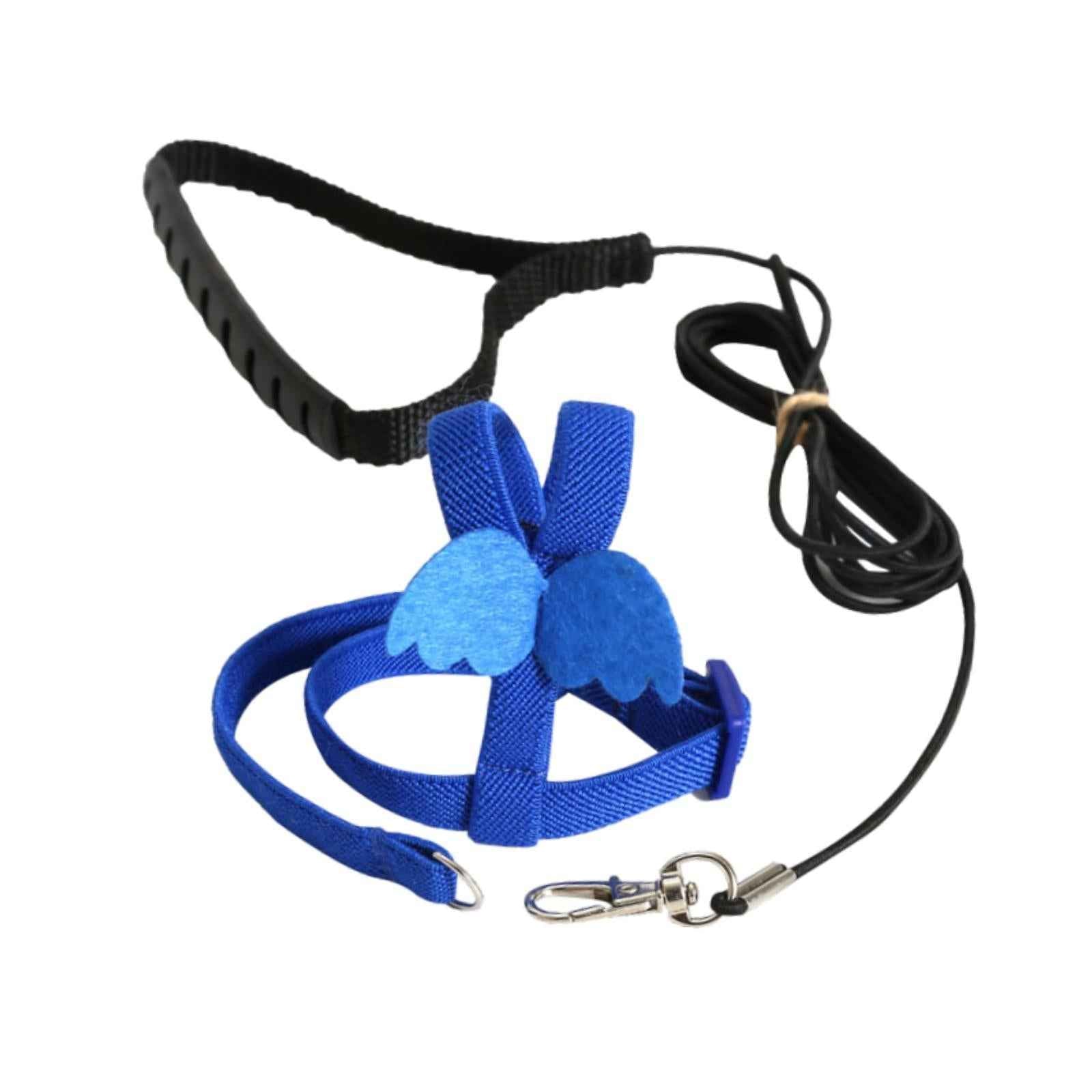 Bird Harness and Leash Training Rope for Conures Budgie Small Parrots Pigeon Blue XS