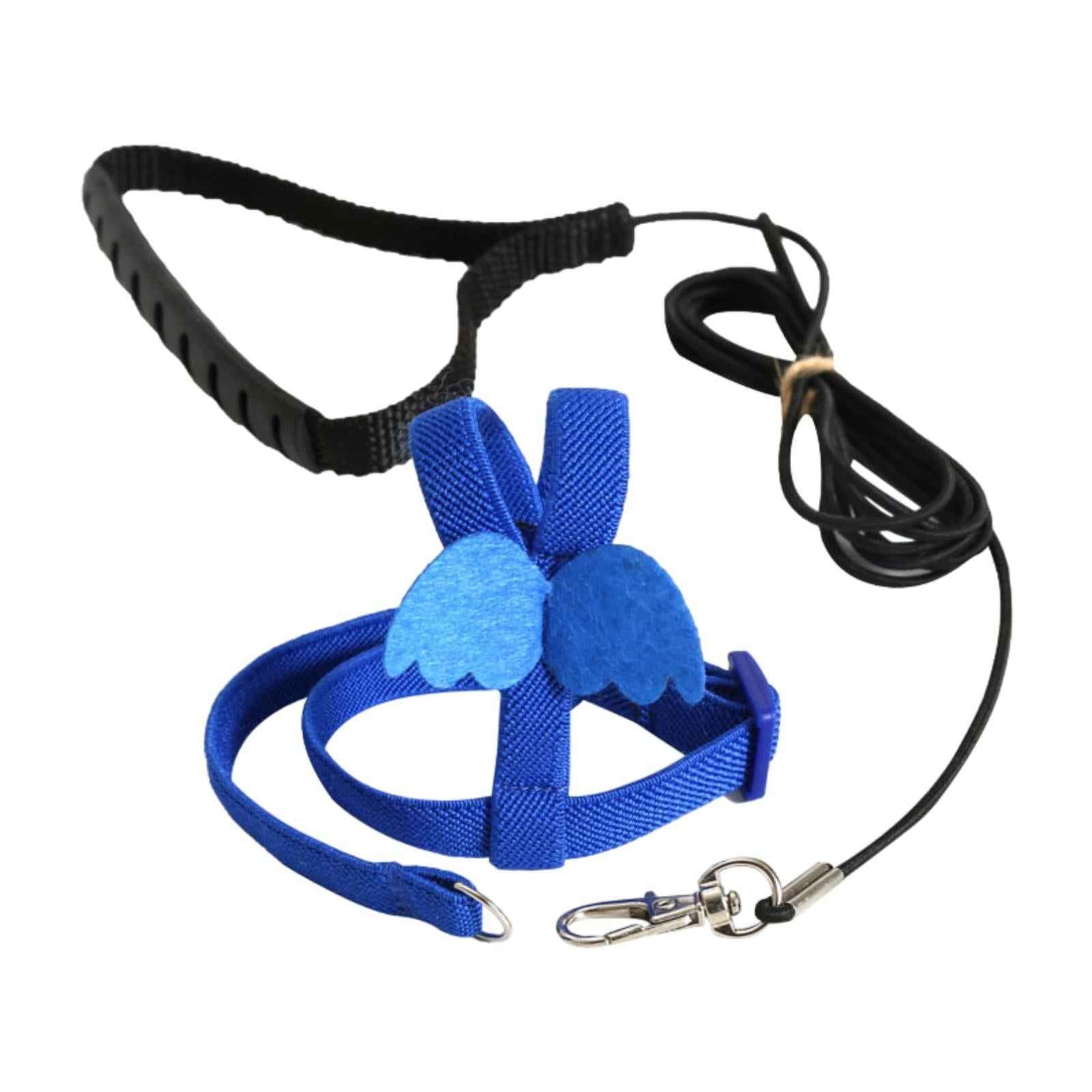 Bird Harness and Leash Training Rope for Conures Budgie Small Parrots Pigeon Blue XS