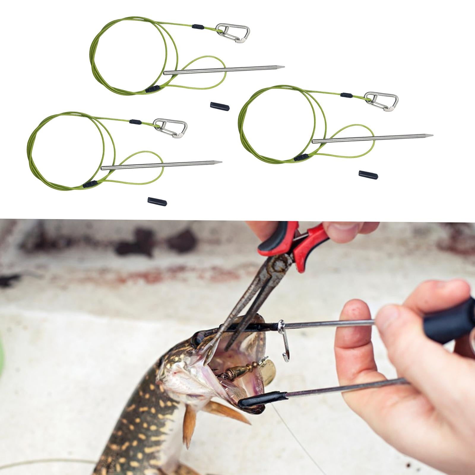 Float Fish Stringer Sturdy for Spearfishing for Saltwater Freshwater Snapper rope length 80CM