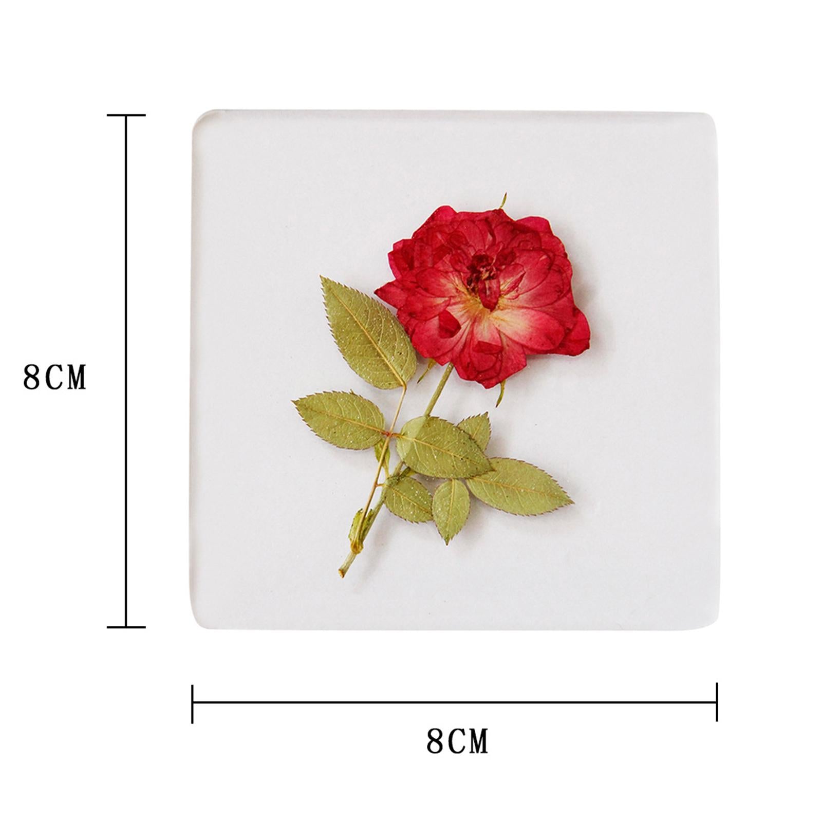 Clear Coasters for Drinks Printed Flower 3.5inch for Bar Farmhouse Holiday