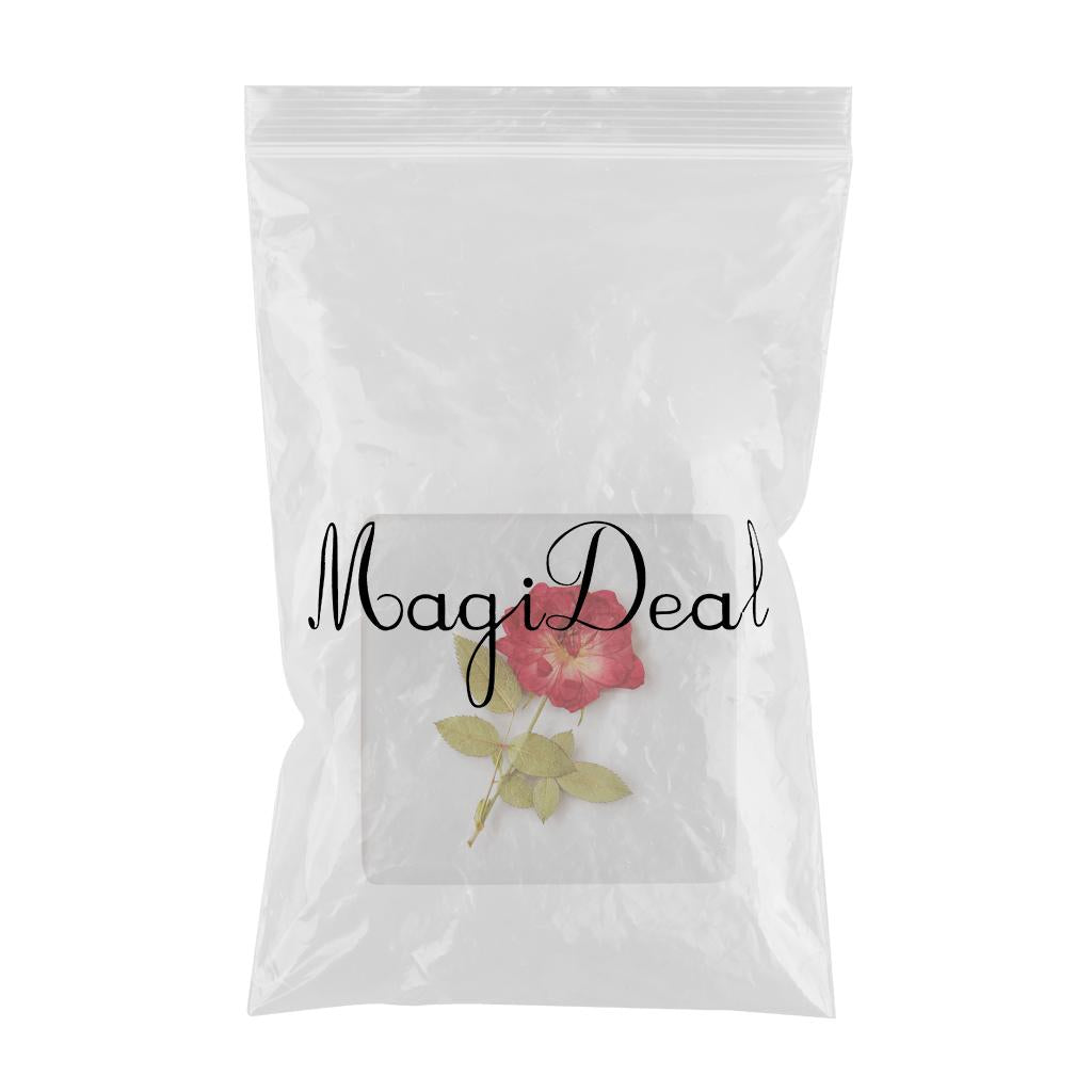 Clear Coasters for Drinks Printed Flower 3.5inch for Bar Farmhouse Holiday