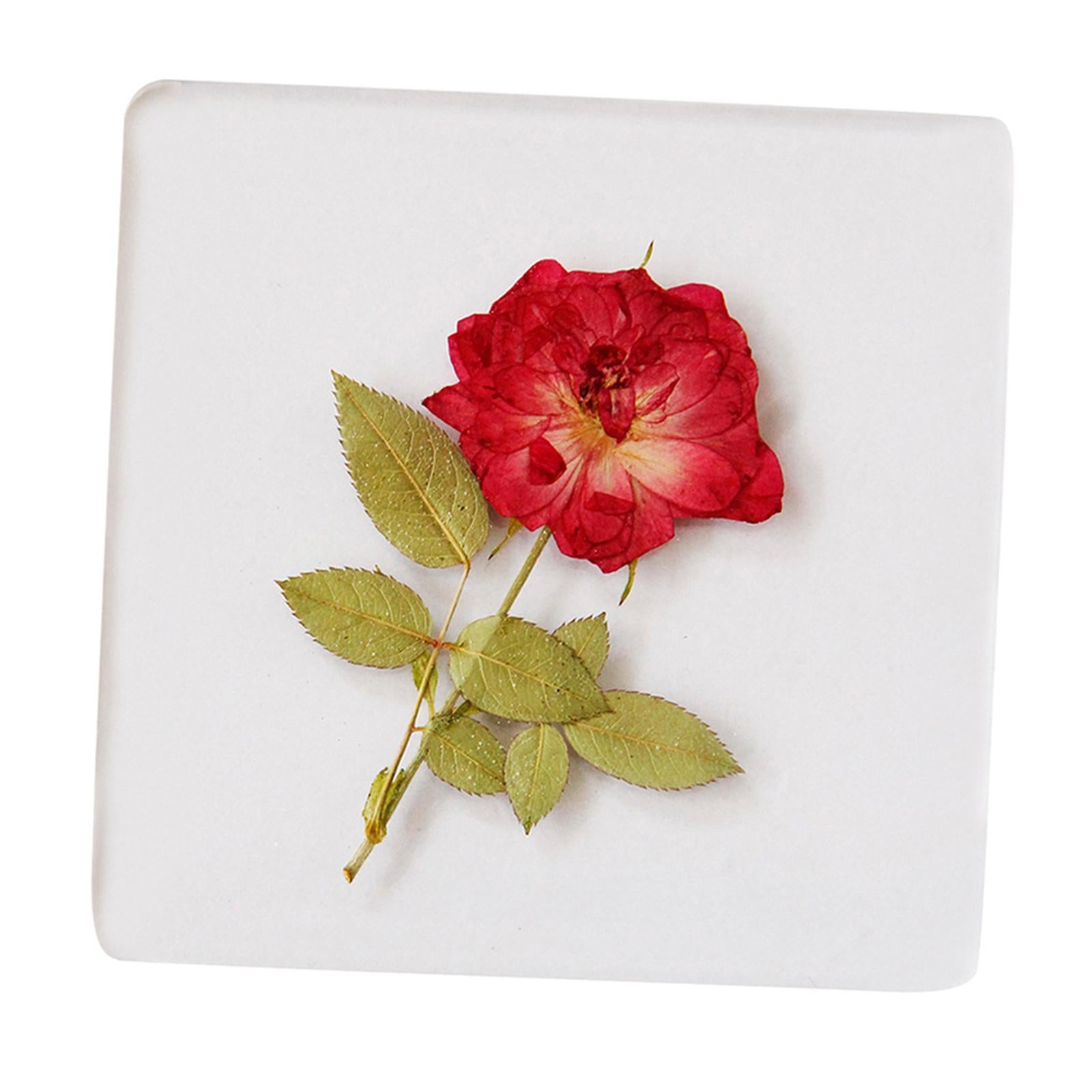 Clear Coasters for Drinks Printed Flower 3.5inch for Bar Farmhouse Holiday