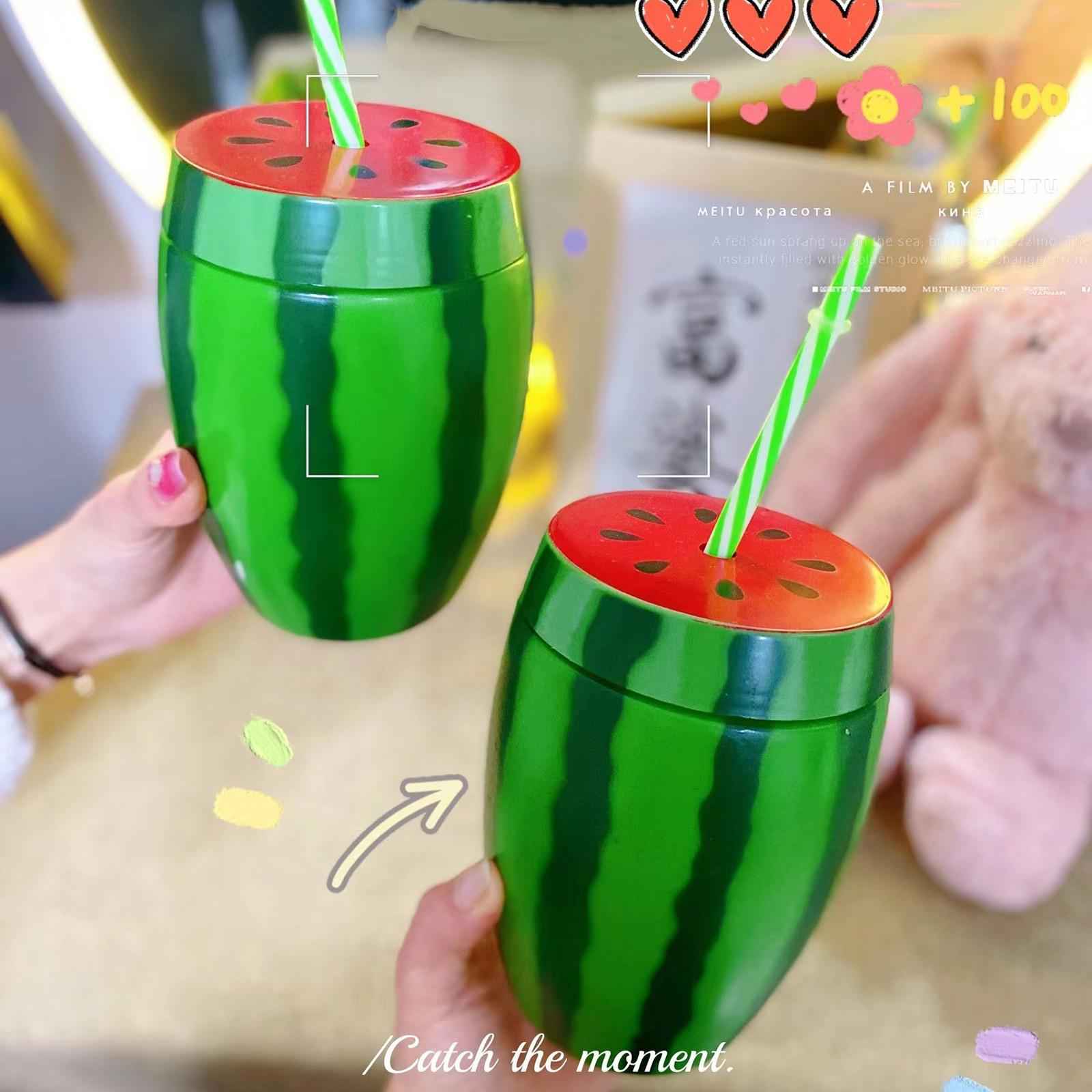 Watermelon Cup for Kids Fruit Drinking Cup for Party Favors Camping Birthday