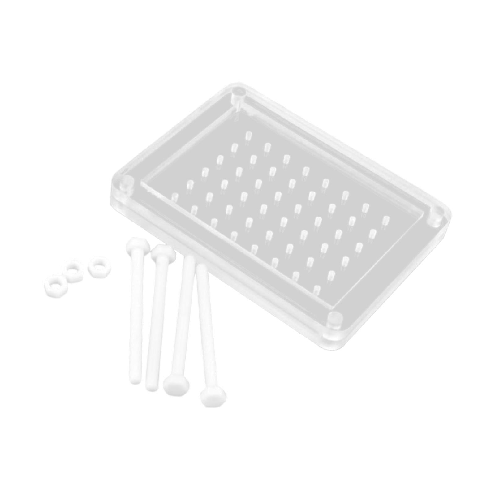 Caviars Makers Box Clear Molecular Gastronomy Caviars Maker for Restaurant Home