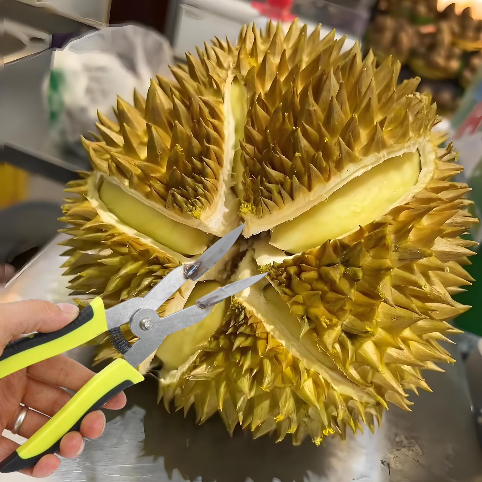 Durian Opener Steel Easy to Use Pliers Manual Fruit Durian Shell Opener Clip