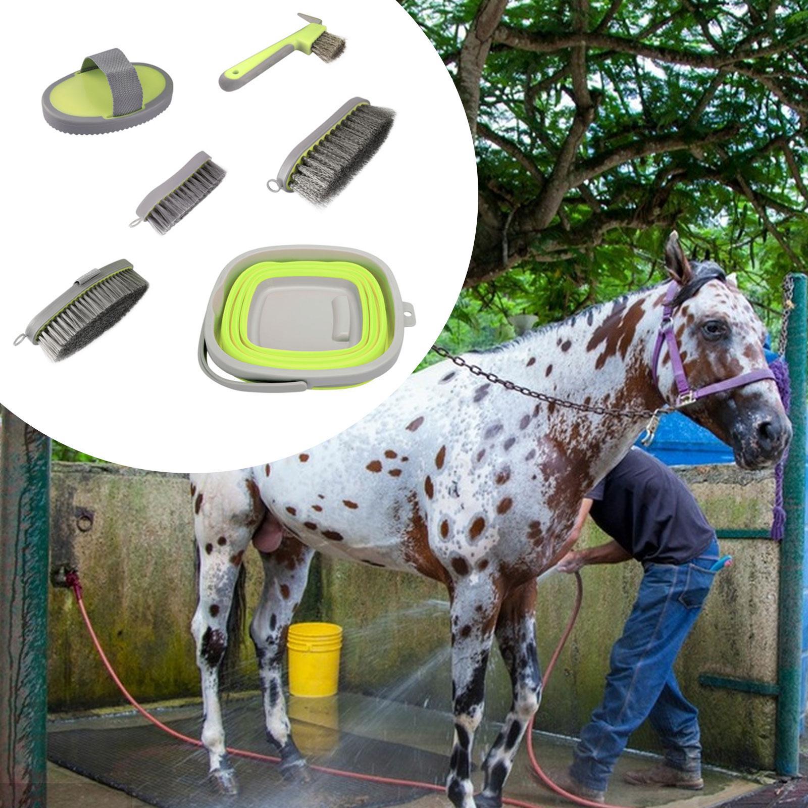 6x Horse Grooming Kit Effective Horse Brush Set for Equestrians Horse Owners
