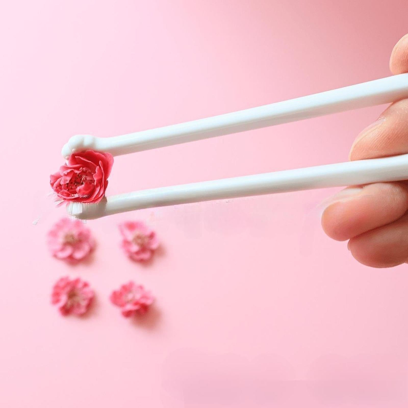 Paw Print Chopsticks Non Slip Grip Unique Adorable for Camping Picnic Women